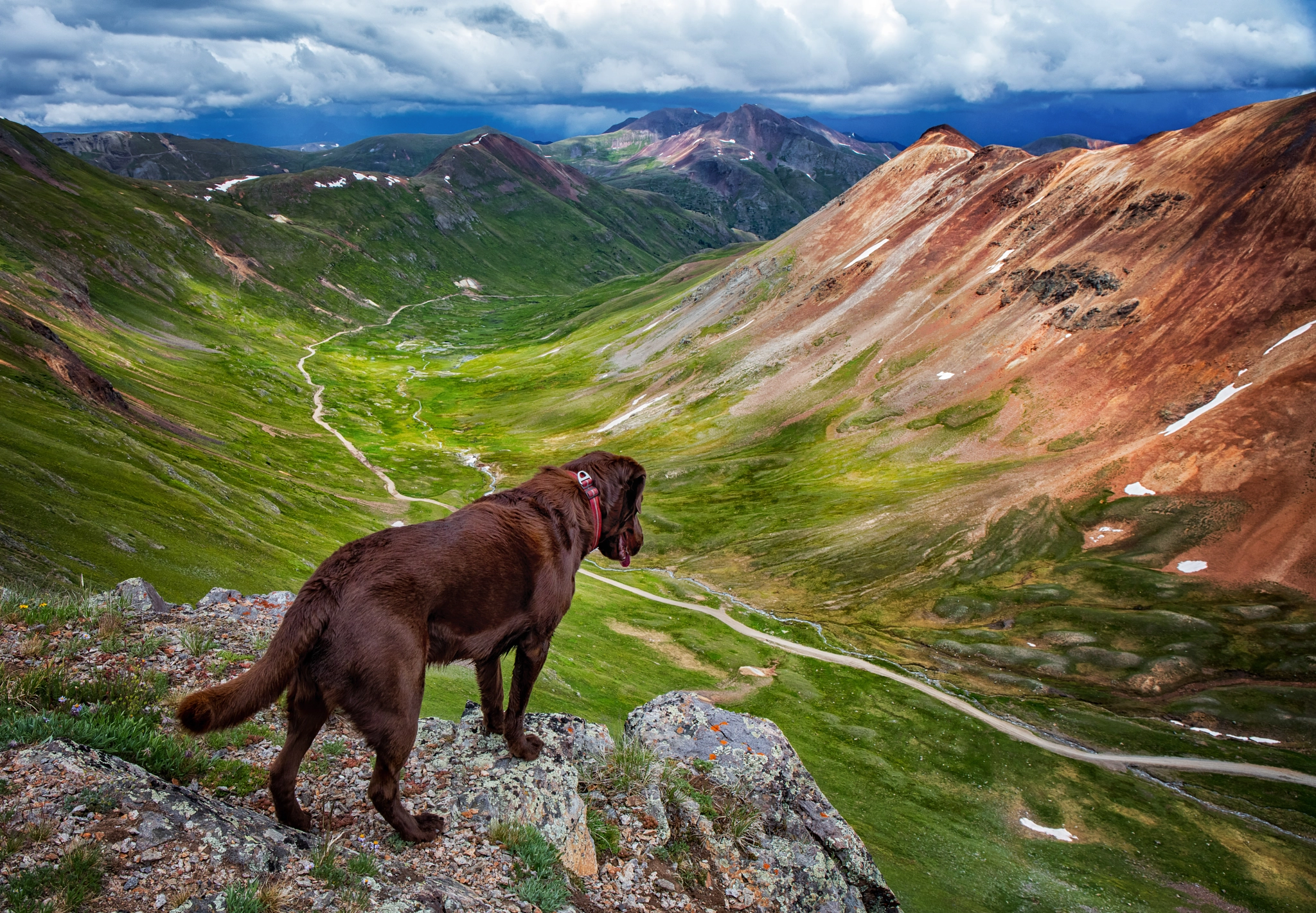 Canon EOS 5DS R sample photo. Dog overlooking colorado valley photography