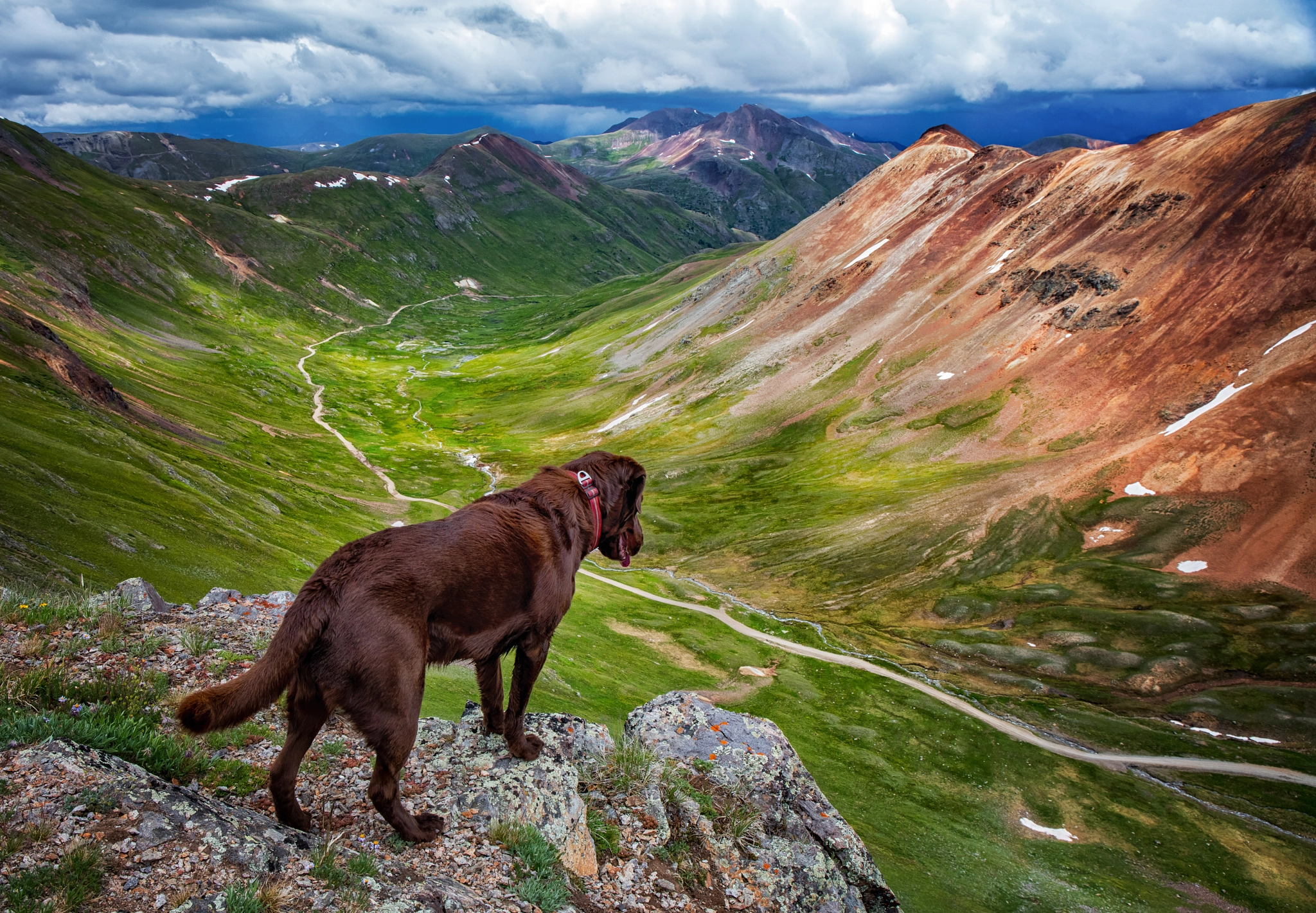 Canon EF 24-70mm F4L IS USM sample photo. Dog overlooking colorado valley photography