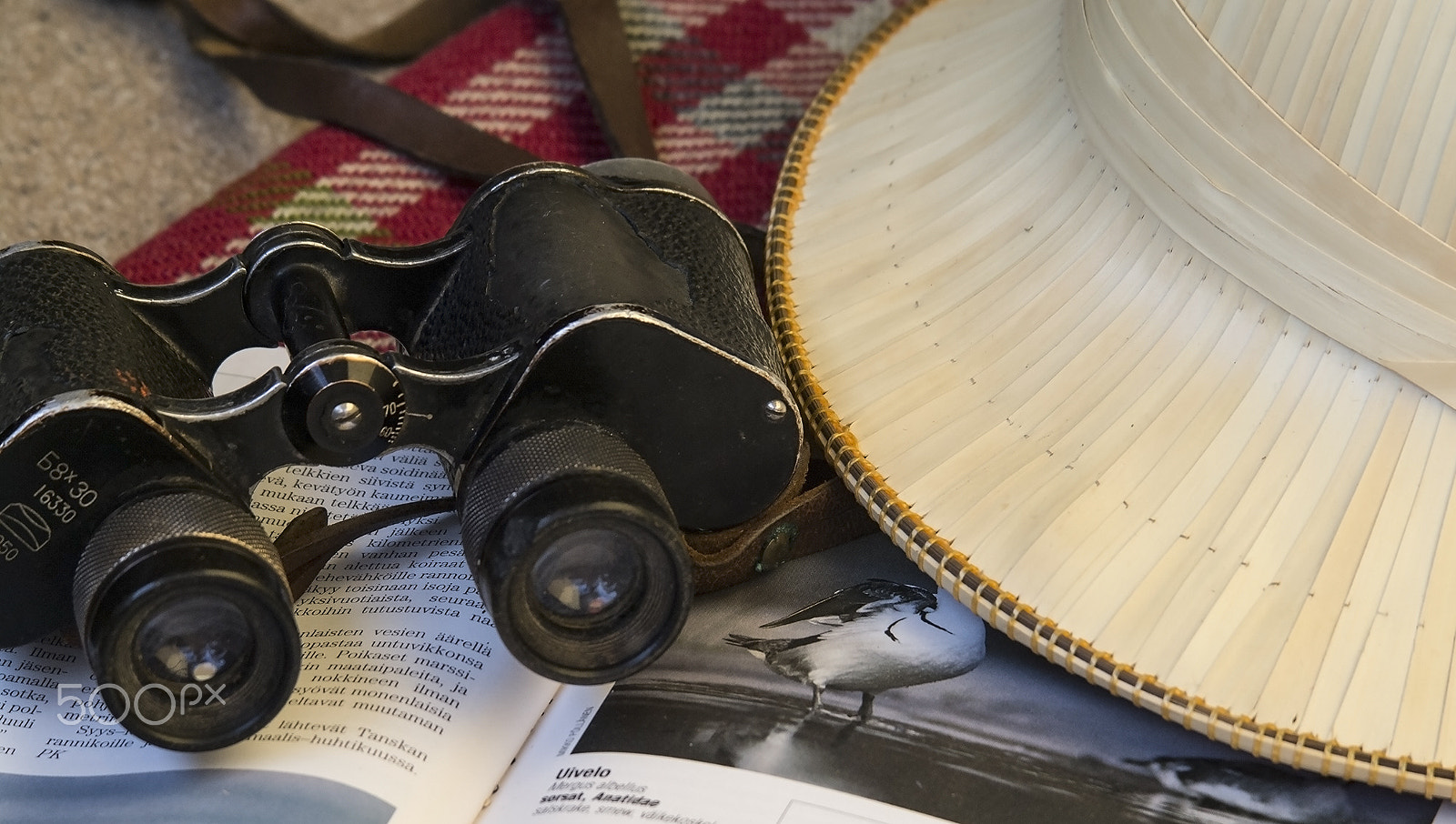 Samsung NX 50-200mm F4-5.6 ED OIS sample photo. Binoculars photography