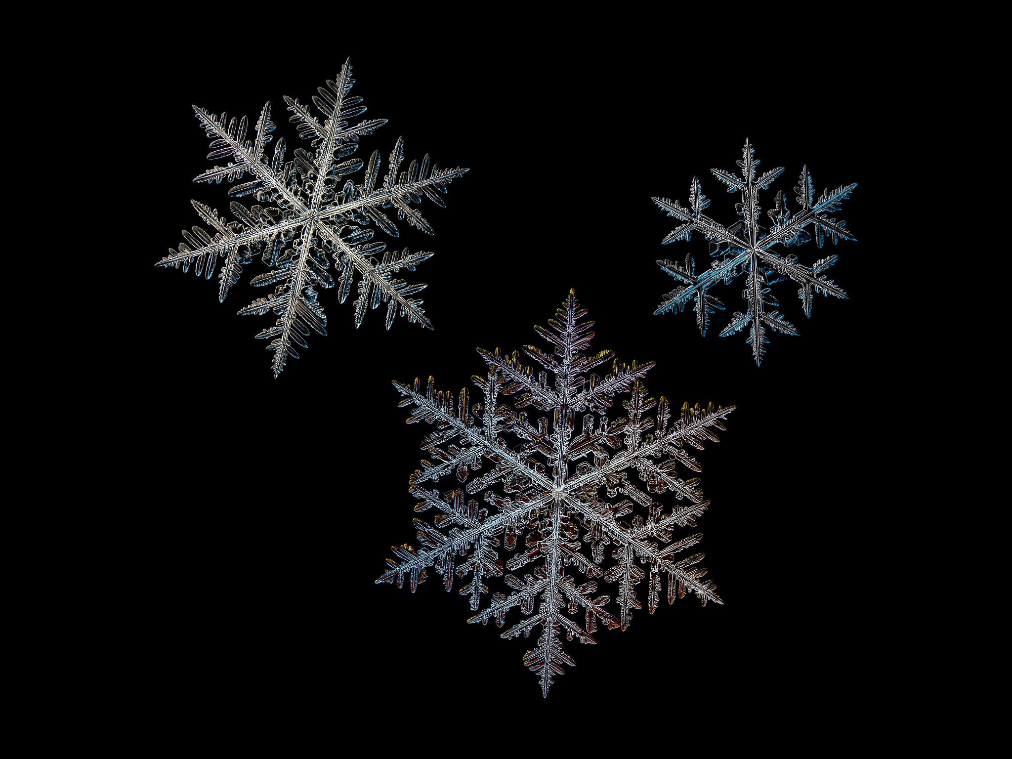 Canon POWERSHOT A650 IS sample photo. Three snowflakes isolated on black photography