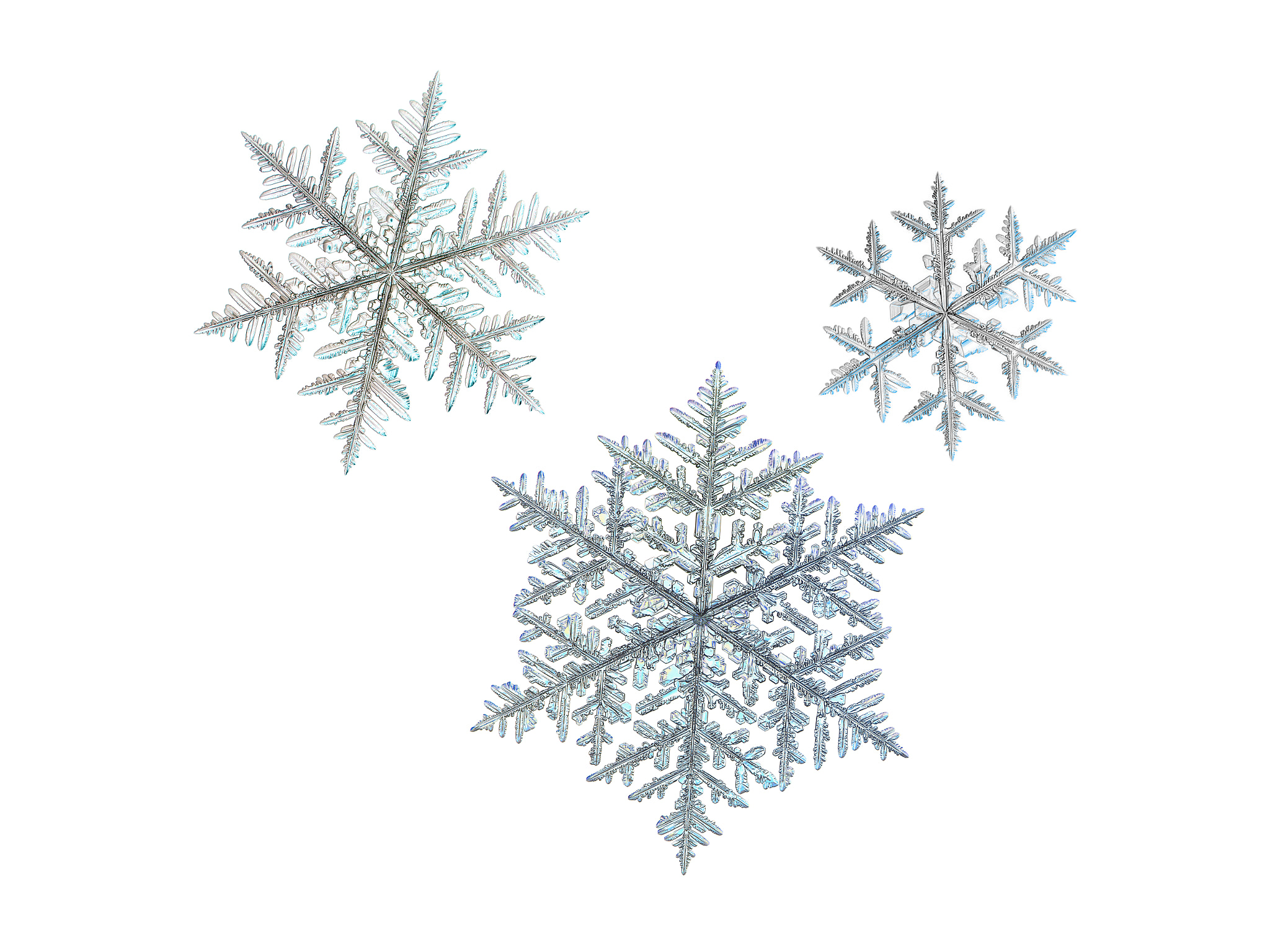 Canon POWERSHOT A650 IS sample photo. Three snowflakes isolated on white photography