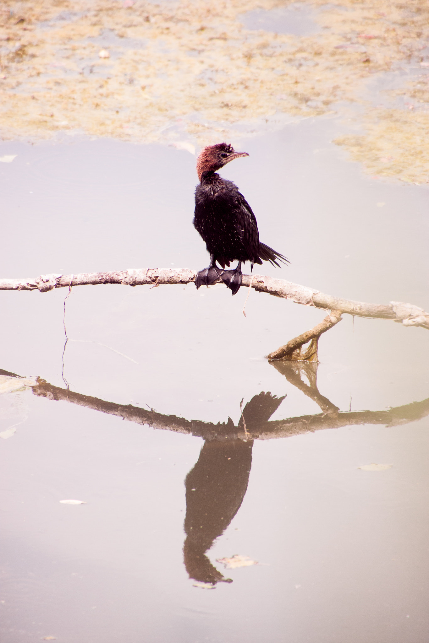Canon EOS 40D sample photo. Along the river photography