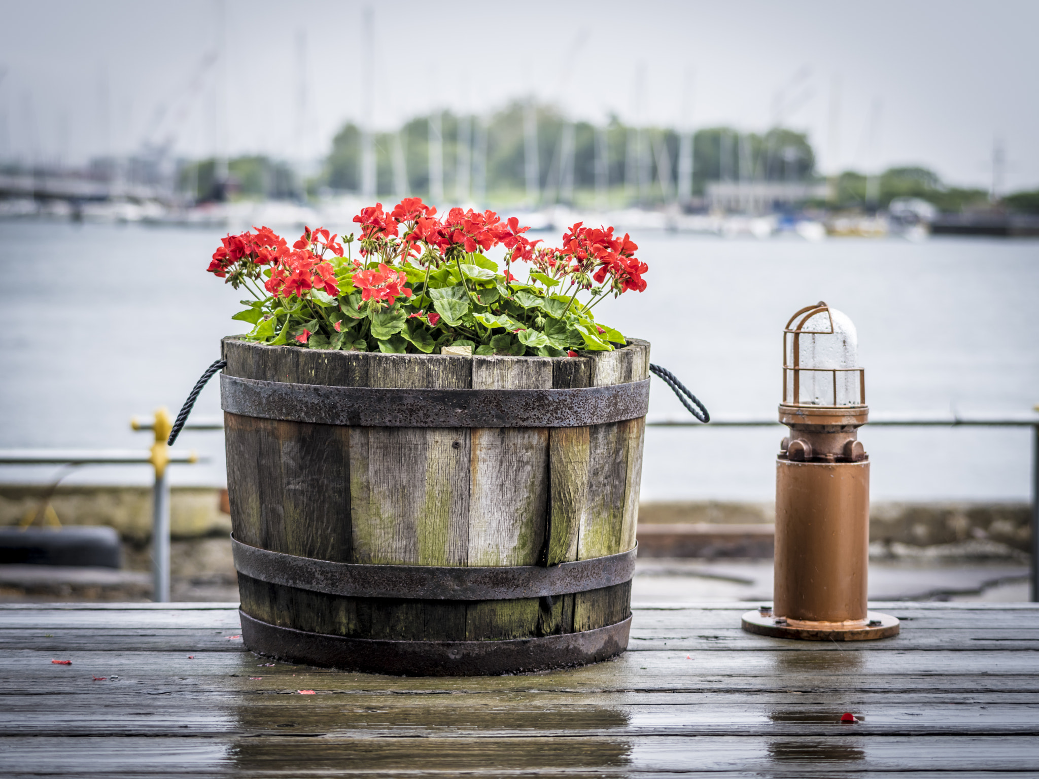 smc PENTAX-FA 645 80-160mm F4.5 sample photo. Rainy port photography