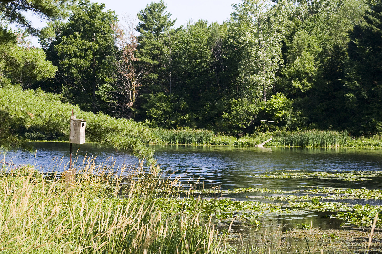 Canon EF 75-300mm f/4-5.6 USM sample photo. The small lake photography
