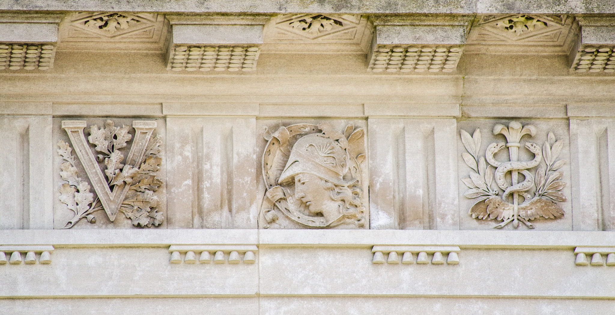 Pentax K-50 + Sigma sample photo. The vanderbilt mark photography