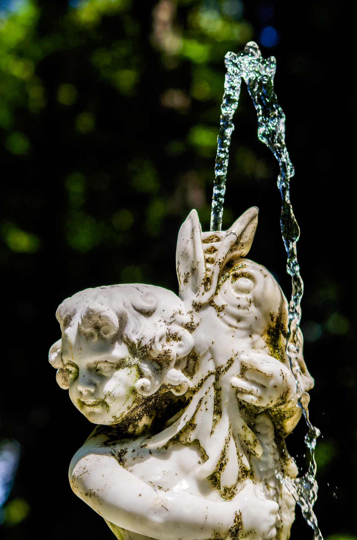 Pentax K-50 + Sigma sample photo. Blithewold fountain photography