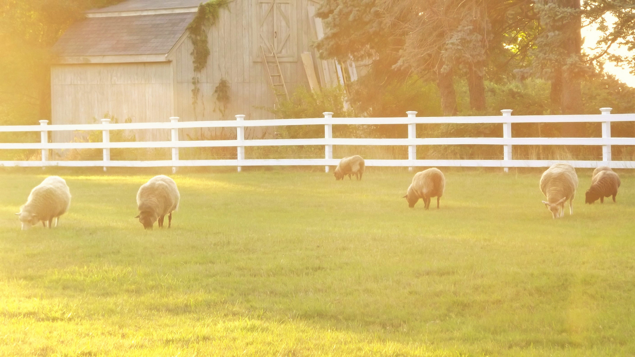 Fujifilm FinePix S4080 sample photo. New england countryside photography