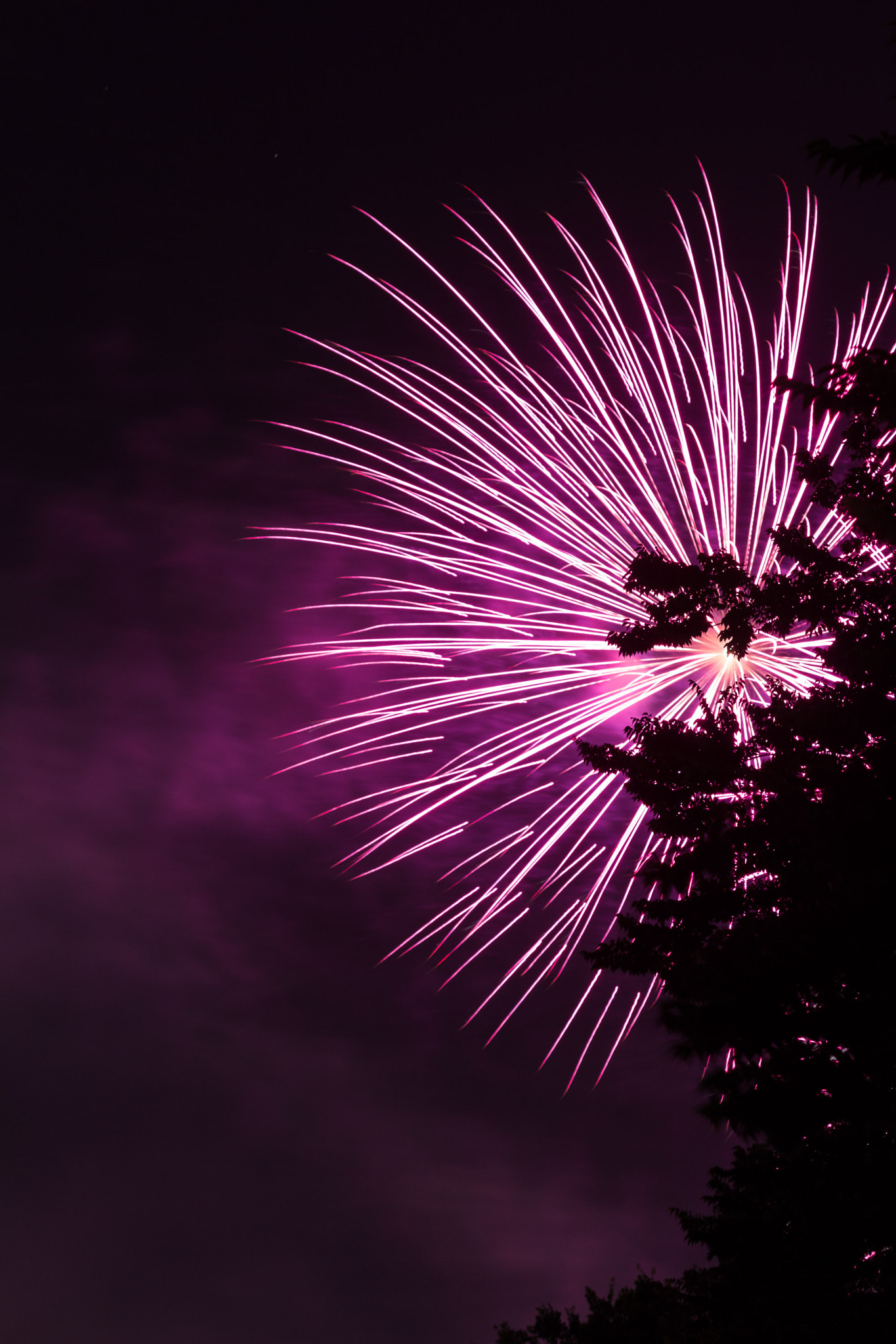Canon EF 100mm F2.8 Macro USM sample photo. Fireworks photography
