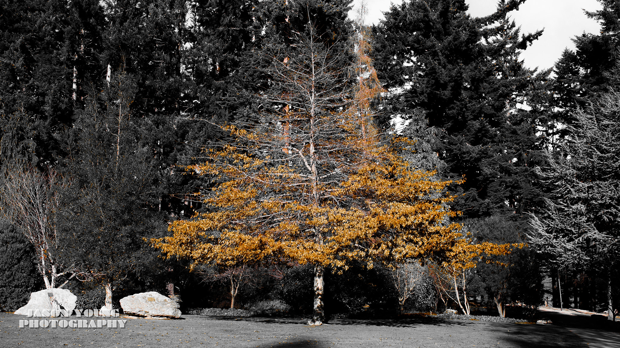 Pentax K-50 sample photo. Autumn goodbye photography