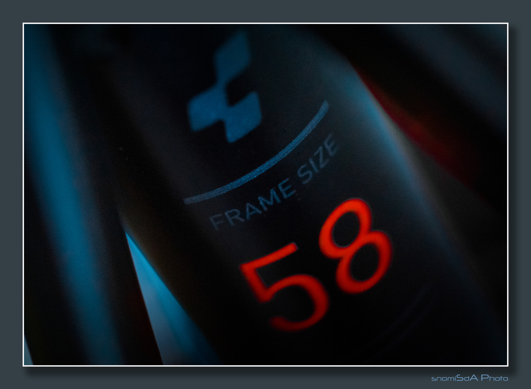 Sony ILCA-77M2 + 105mm F2.8 sample photo. "58" photography