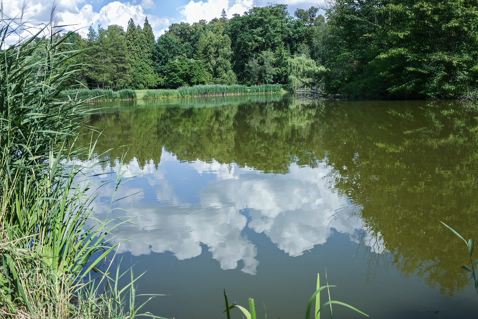 Samsung NX3000 + NX 20mm F2.8 sample photo. Just a lake photography