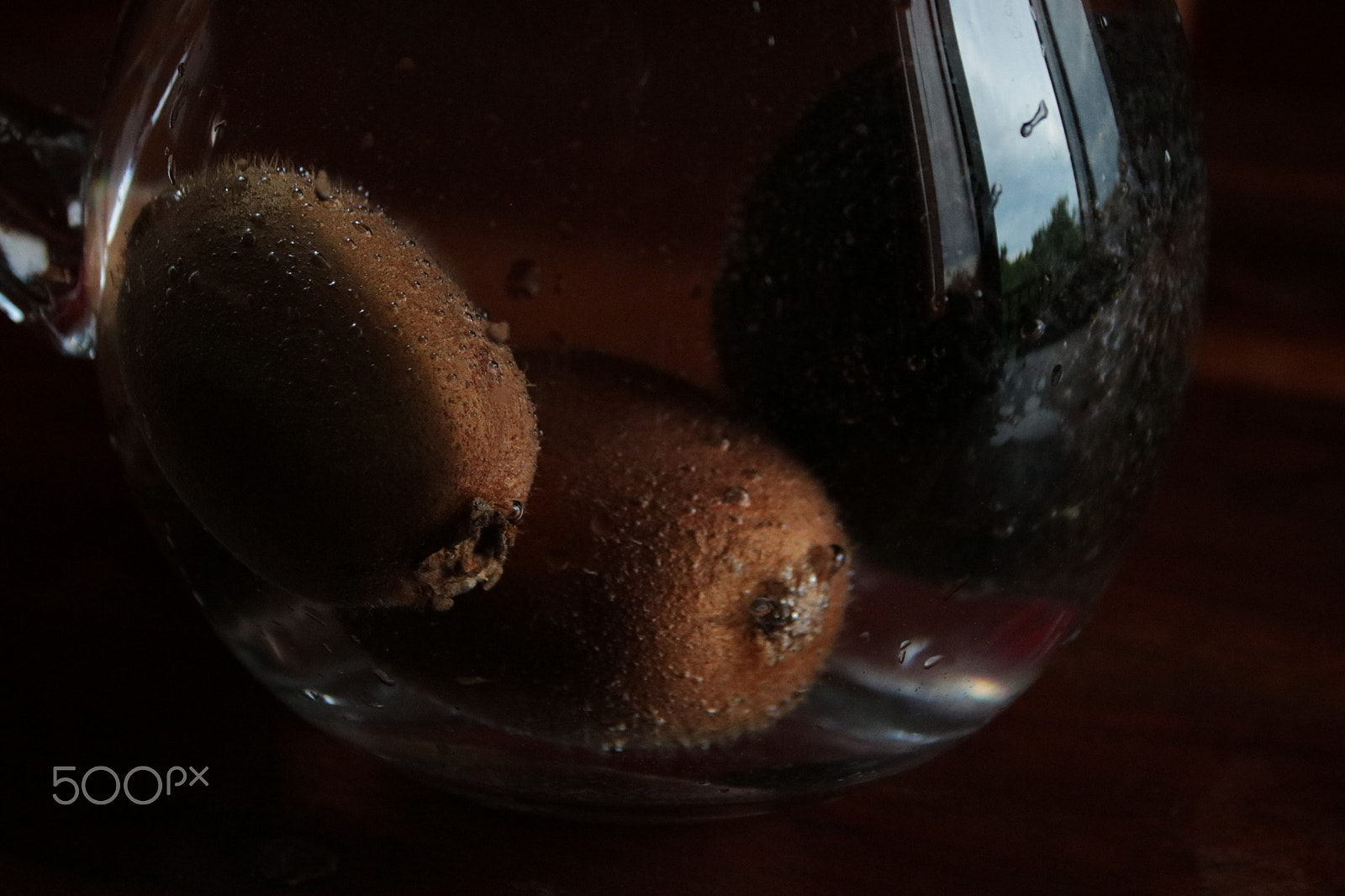 Canon EOS 750D (EOS Rebel T6i / EOS Kiss X8i) sample photo. Kiwi in relax in water to the windows photography