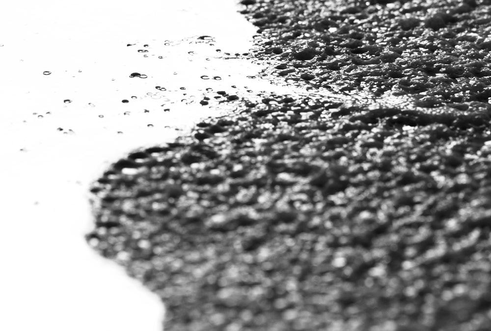 Nikon AF-S Micro-Nikkor 105mm F2.8G IF-ED VR sample photo. 【vd视觉记忆】【2012.11.08】火眼金睛 photography