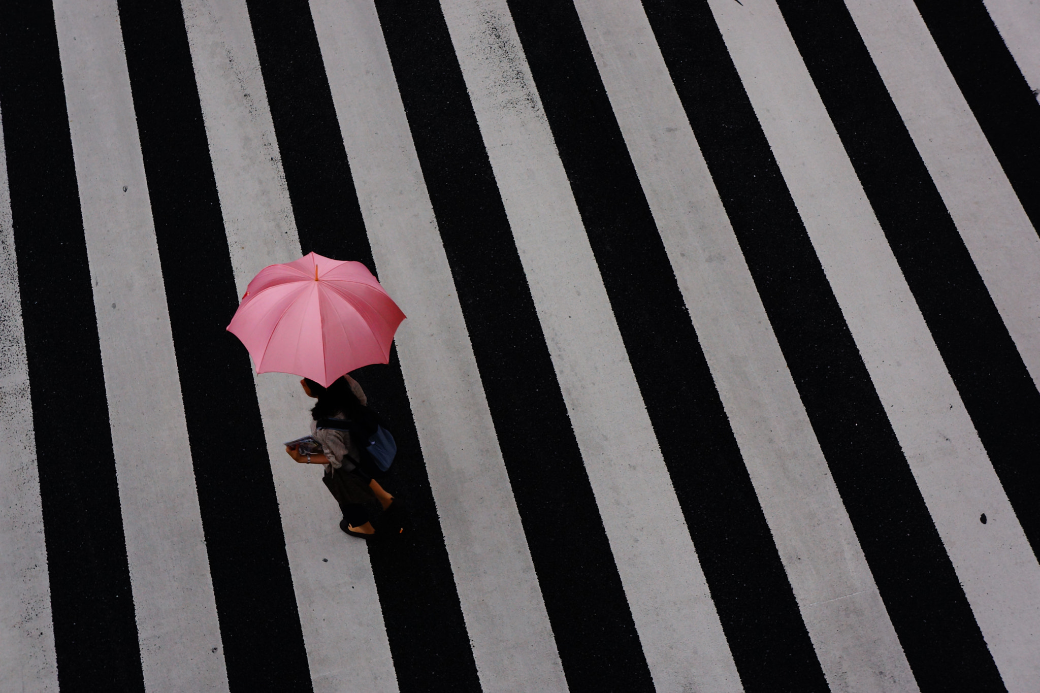 Tamron 18-200mm F3.5-6.3 Di III VC sample photo. Enjoy rainy day. photography