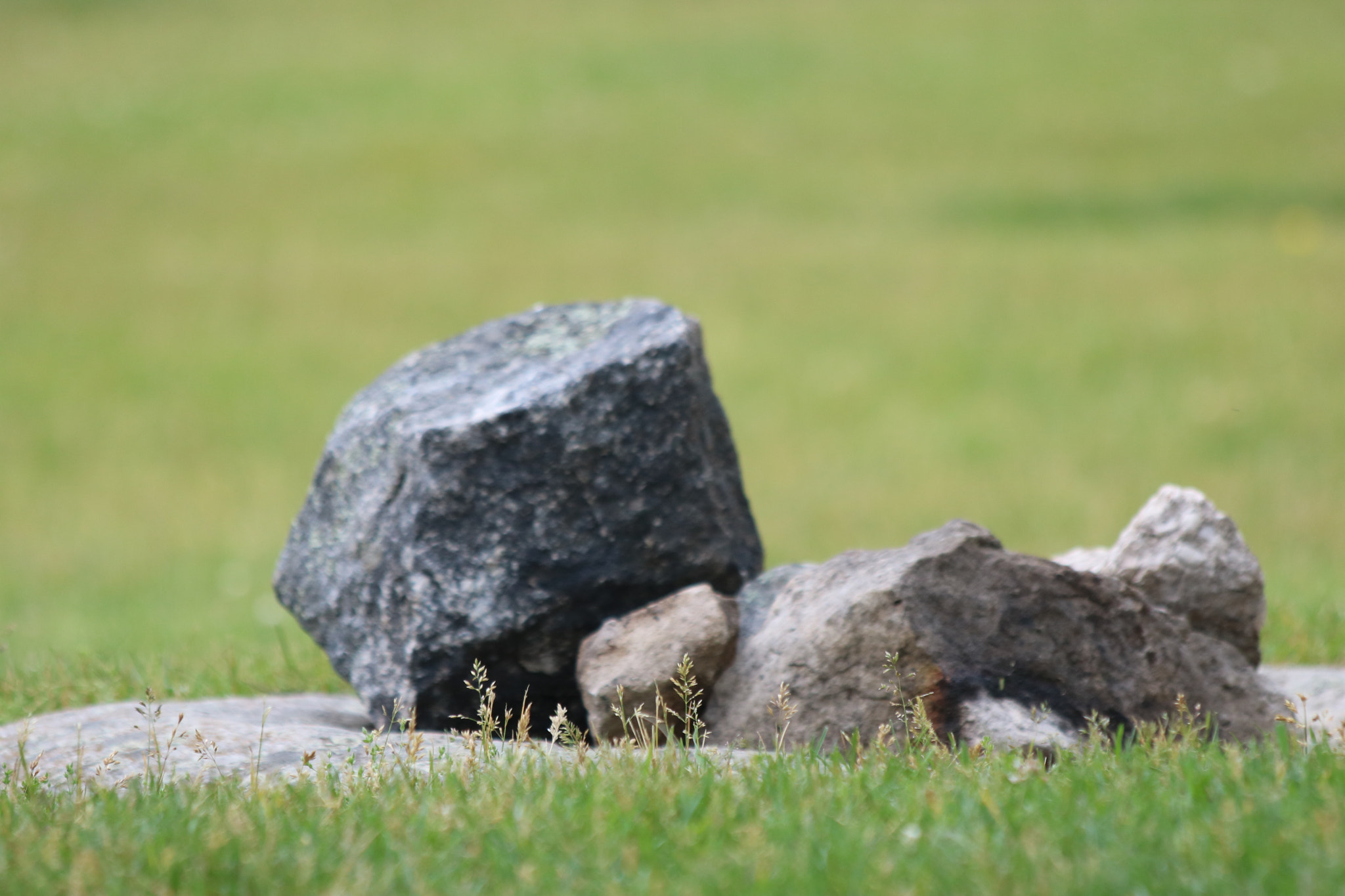 Canon EF 70-300mm F4-5.6 IS USM sample photo