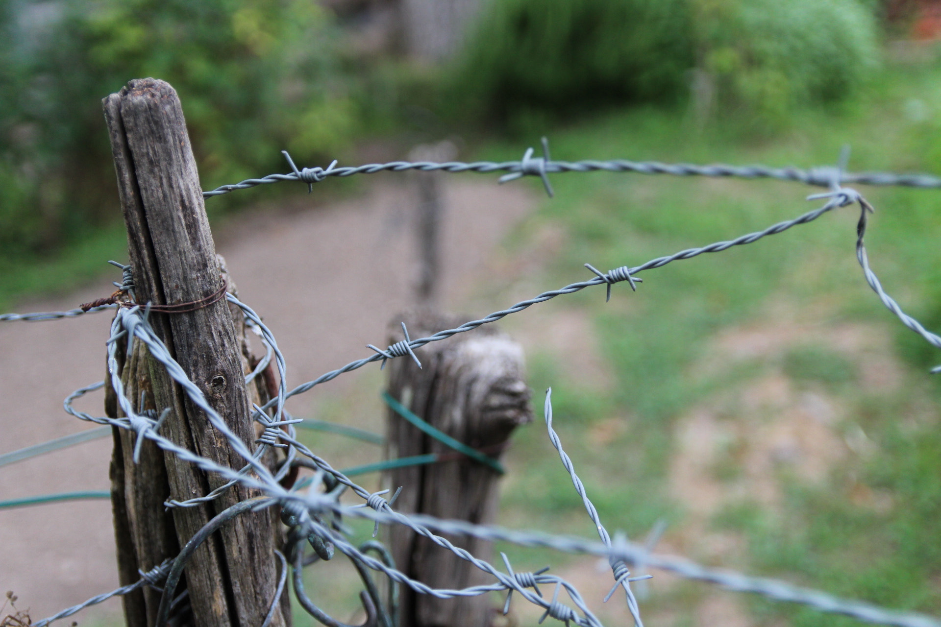Canon EF-S 17-55mm F2.8 IS USM sample photo. Freedom photography