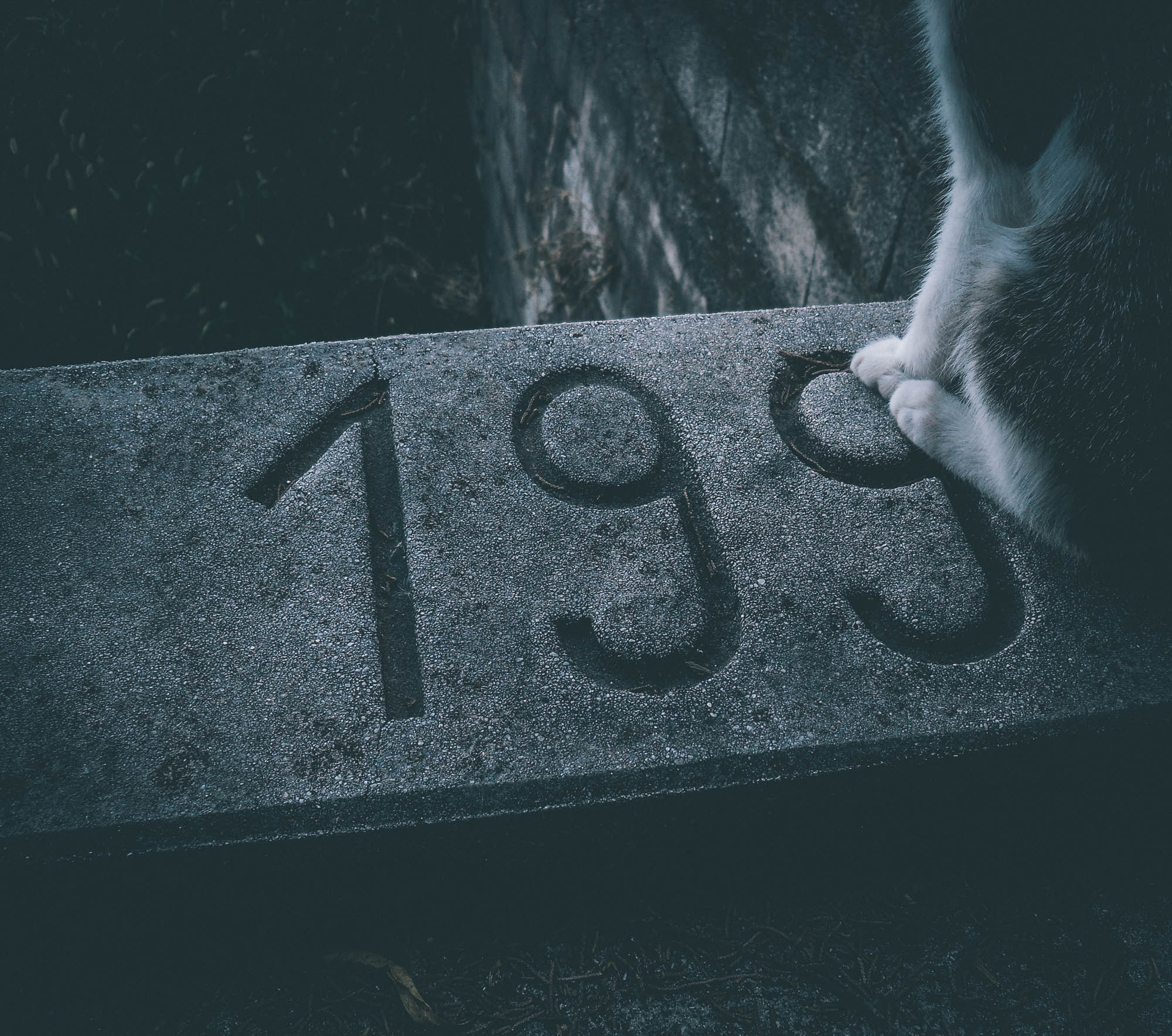 Samsung ES20/ VLUU ES20/  SL35 sample photo. #199 photography