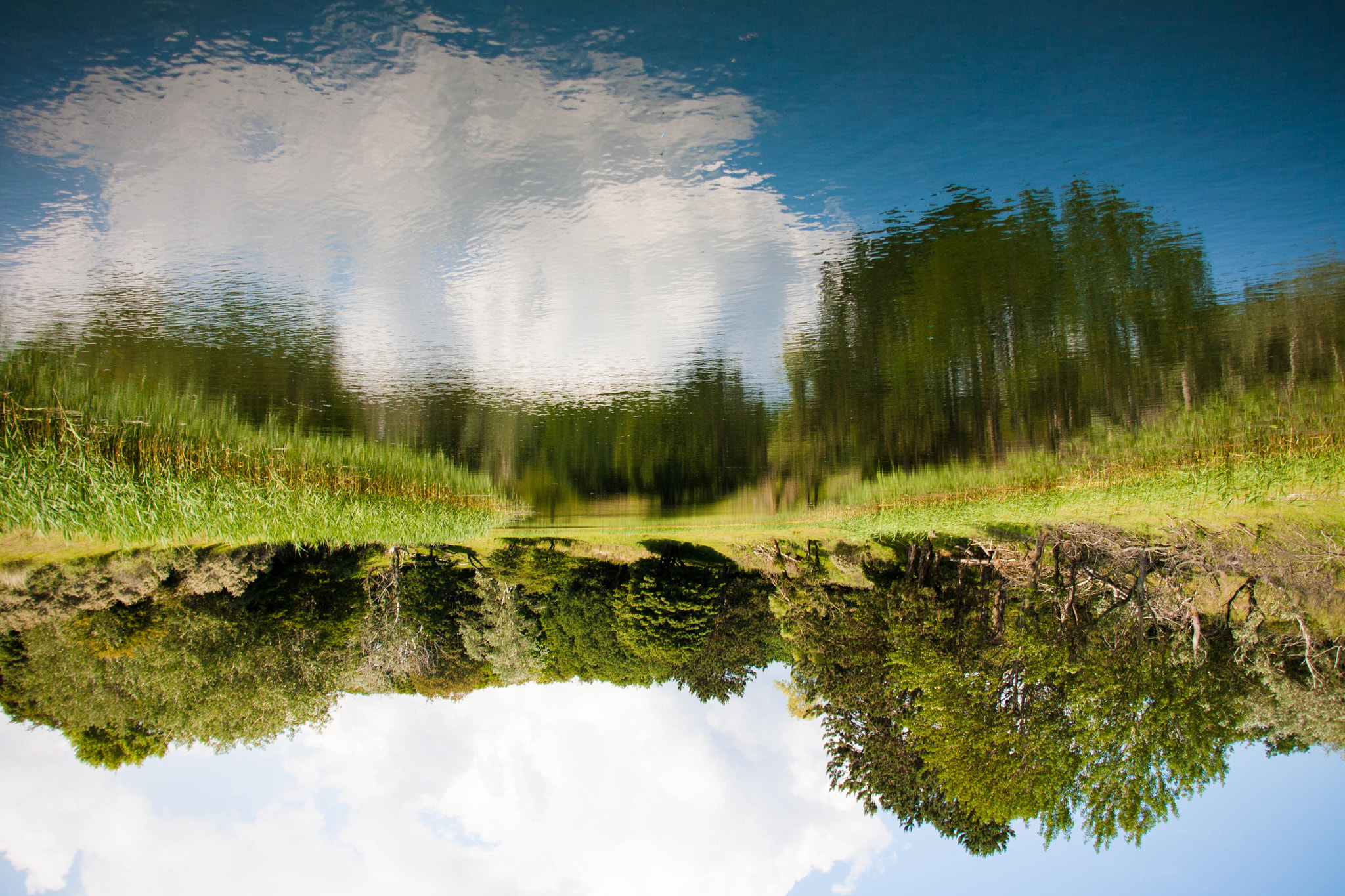 Sigma 18-200mm f/3.5-6.3 DC OS sample photo. What do you reflect? photography
