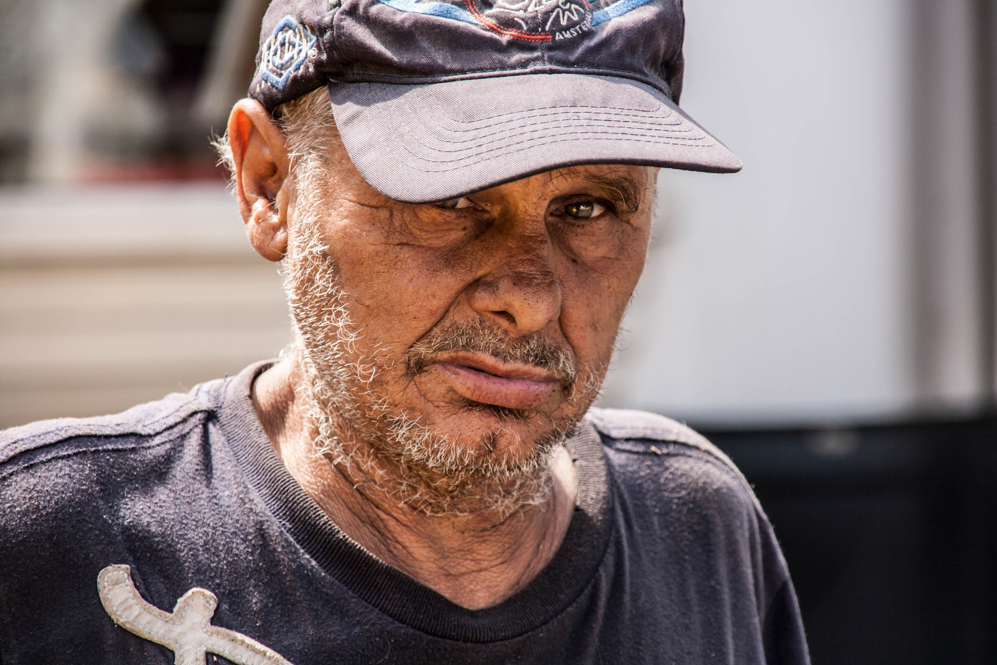 Sigma 18-200mm f/3.5-6.3 DC OS sample photo. The eyes, they speak for themselves photography