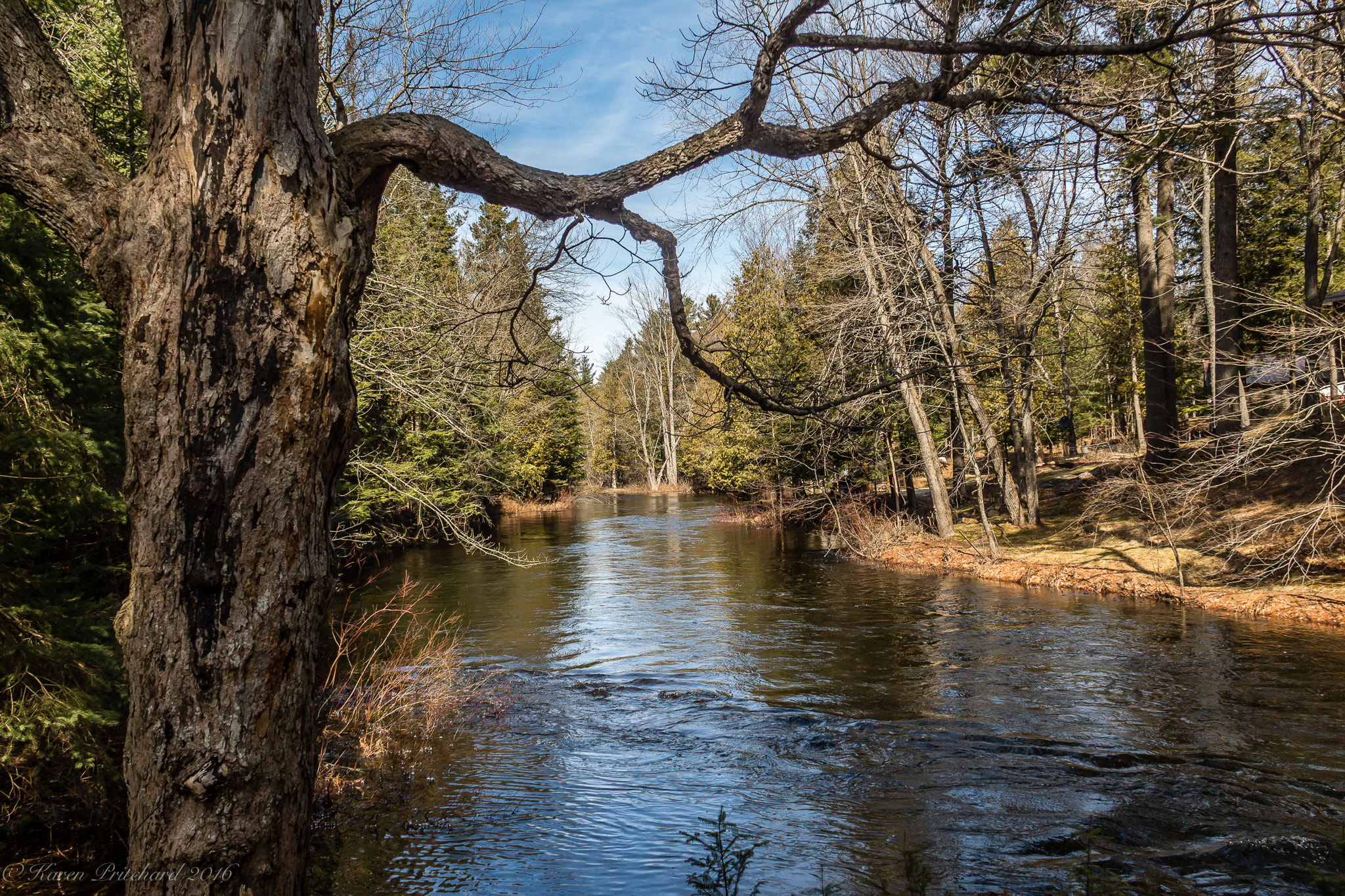 Canon EOS 100D (EOS Rebel SL1 / EOS Kiss X7) sample photo. Canada peteborough ontario noogies creek photography