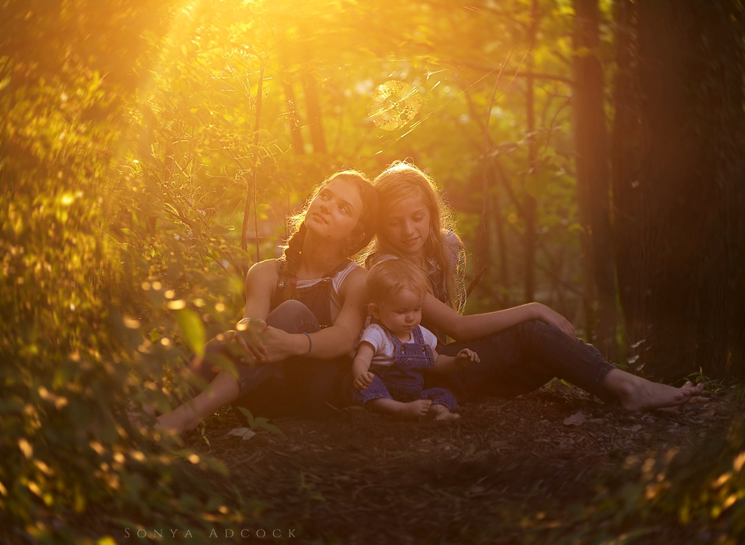 Nikon D700 + Nikon AF Nikkor 105mm F2D DC sample photo. Woodland nymphs photography