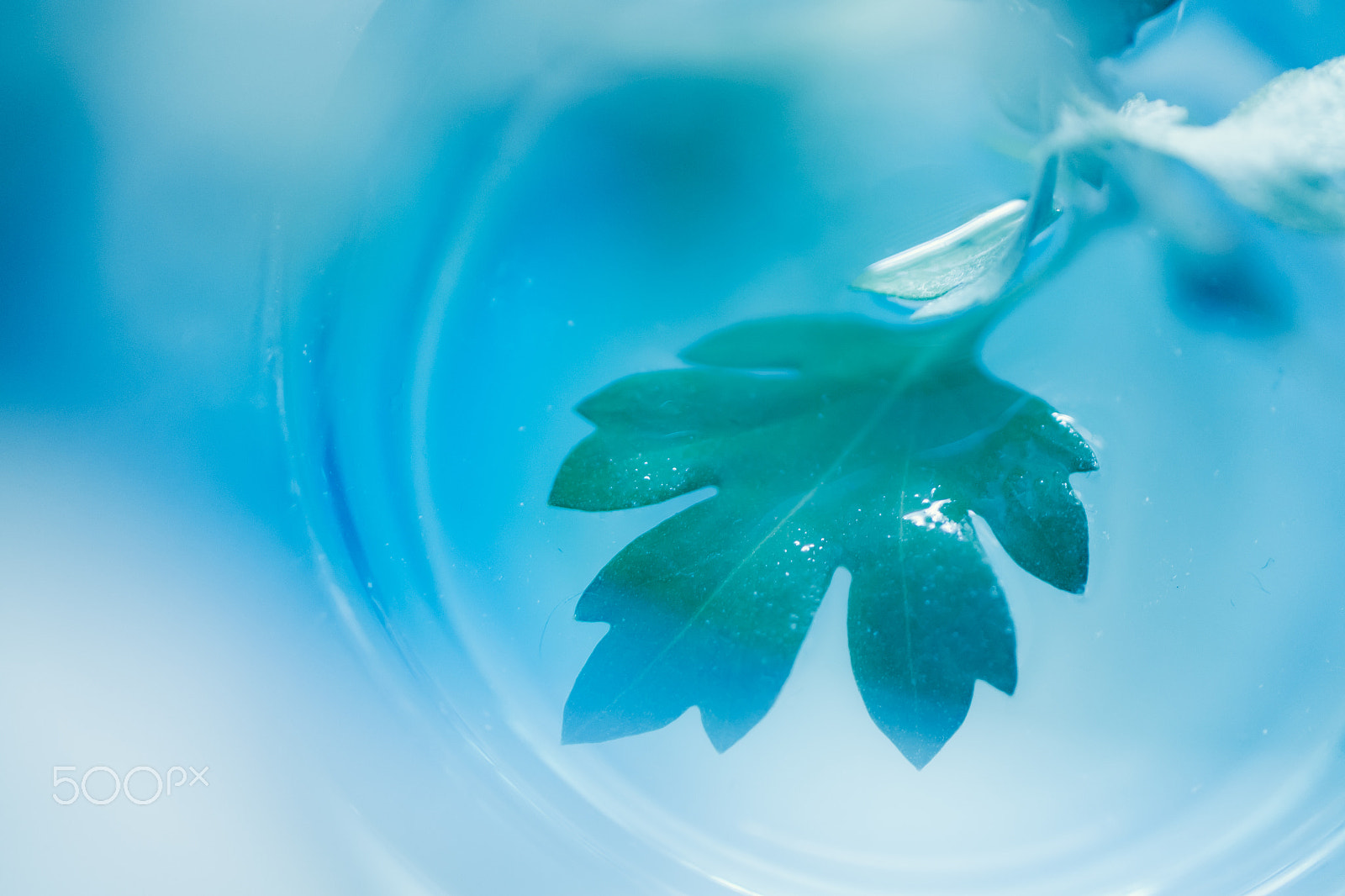 Samsung NX30 + Samsung NX 60mm F2.8 Macro ED OIS SSA sample photo. Serene photography