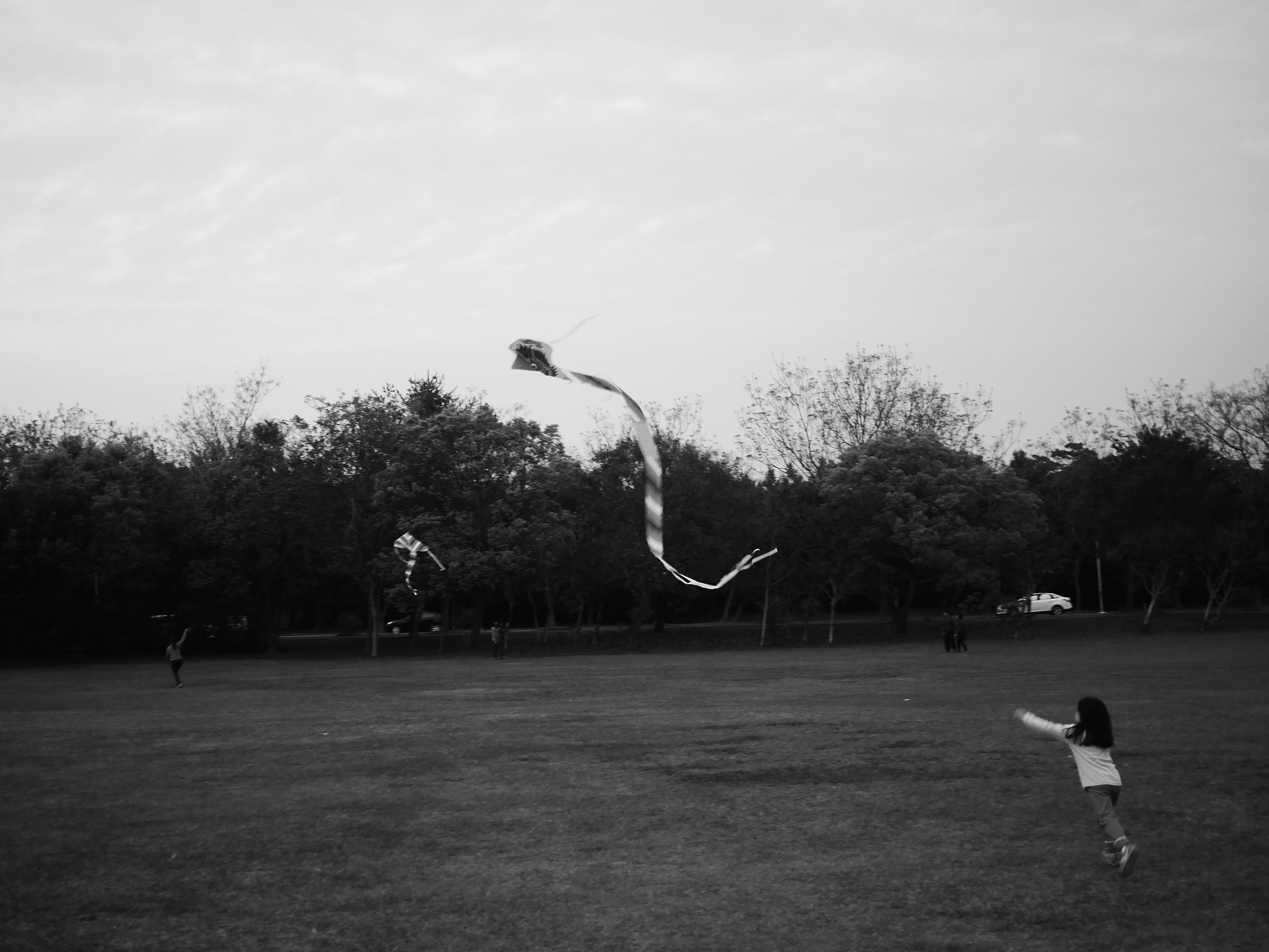 Panasonic Lumix DMC-GM1 + Panasonic Lumix G 20mm F1.7 ASPH sample photo. Kite photography
