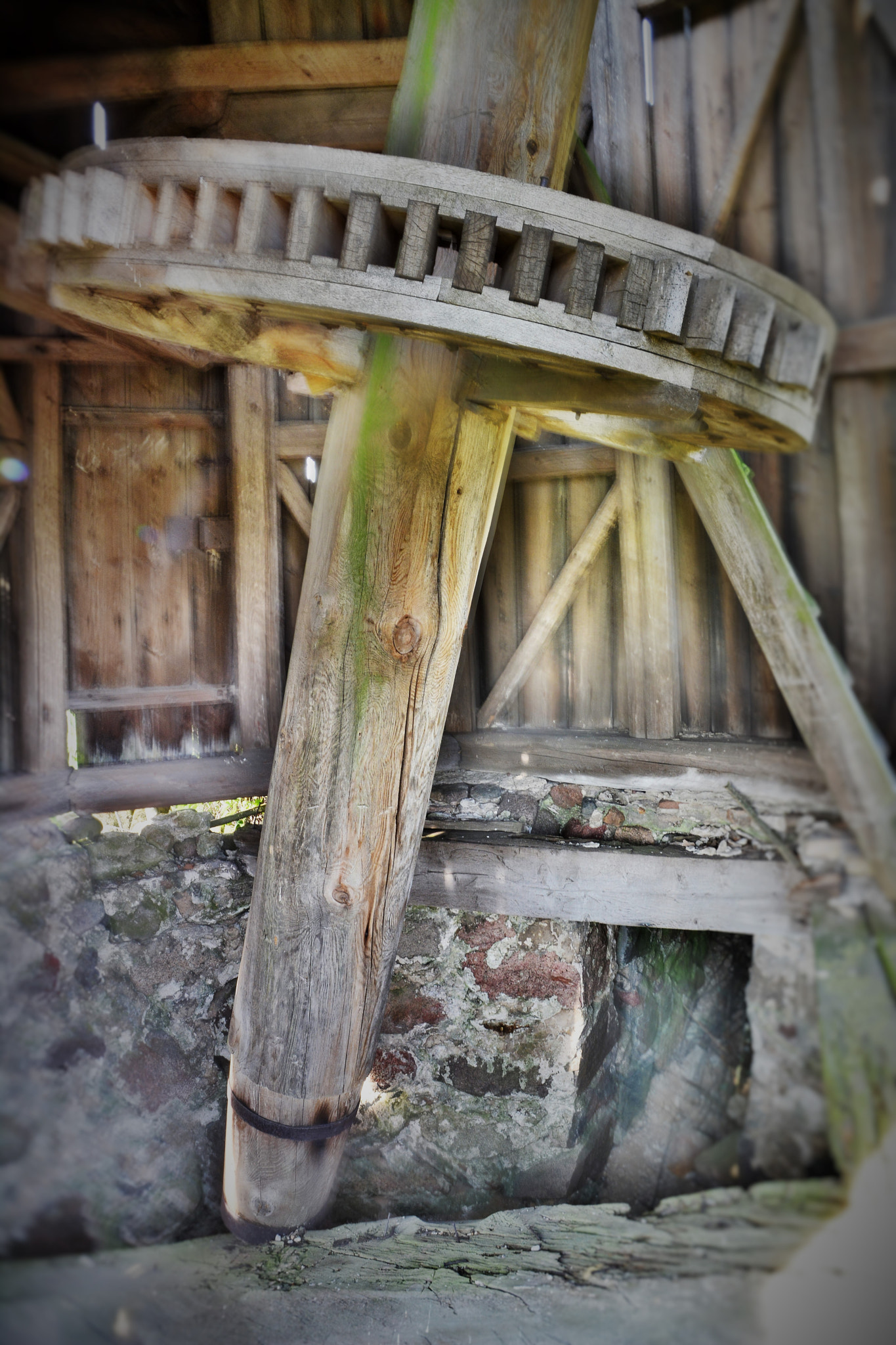 Sigma 17-70mm F2.8-4.5 DC Macro Asp. IF sample photo