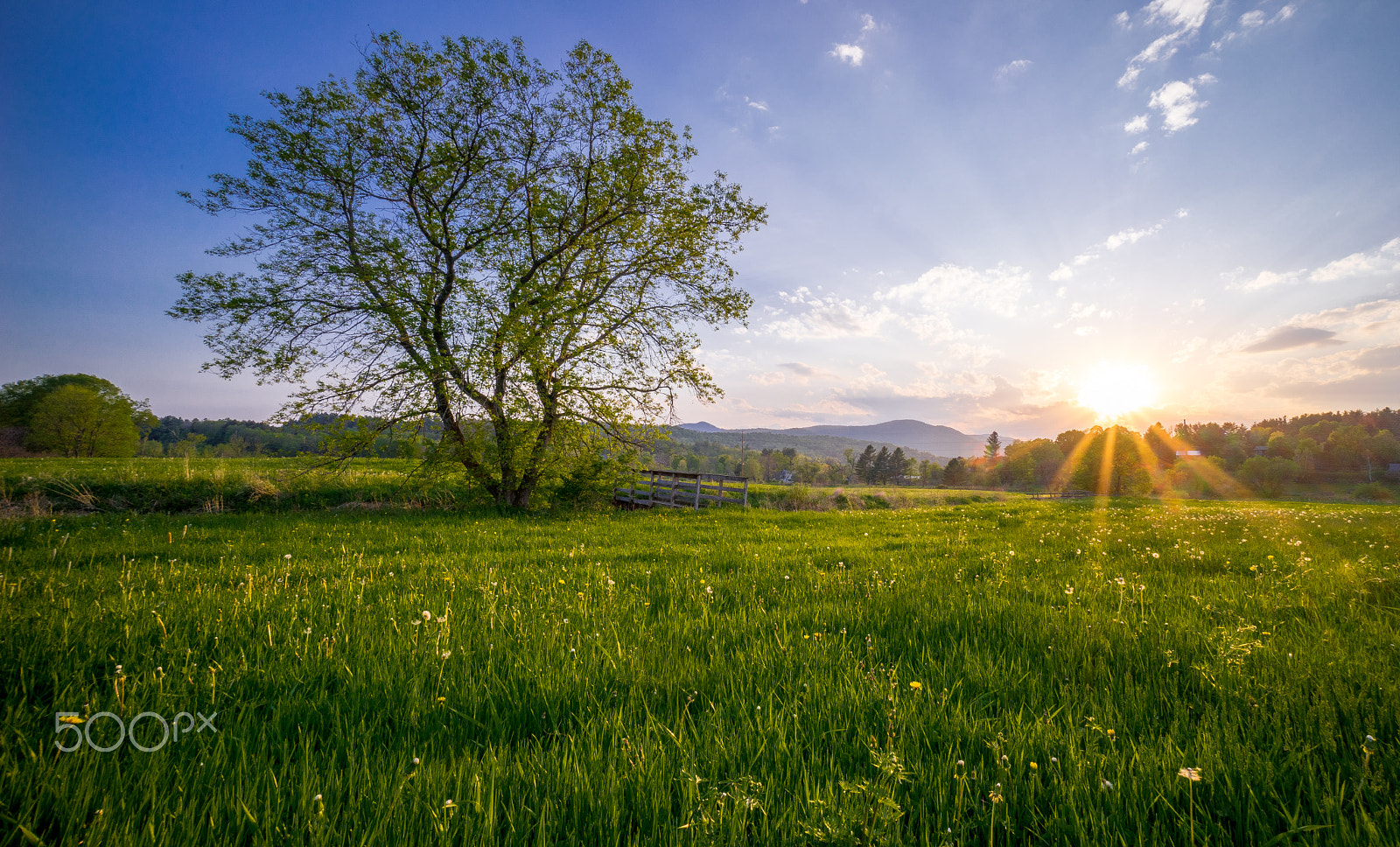 Sony a7 II + Sony E 10-18mm F4 OSS sample photo. Stowe, vermont landscape.jpg photography