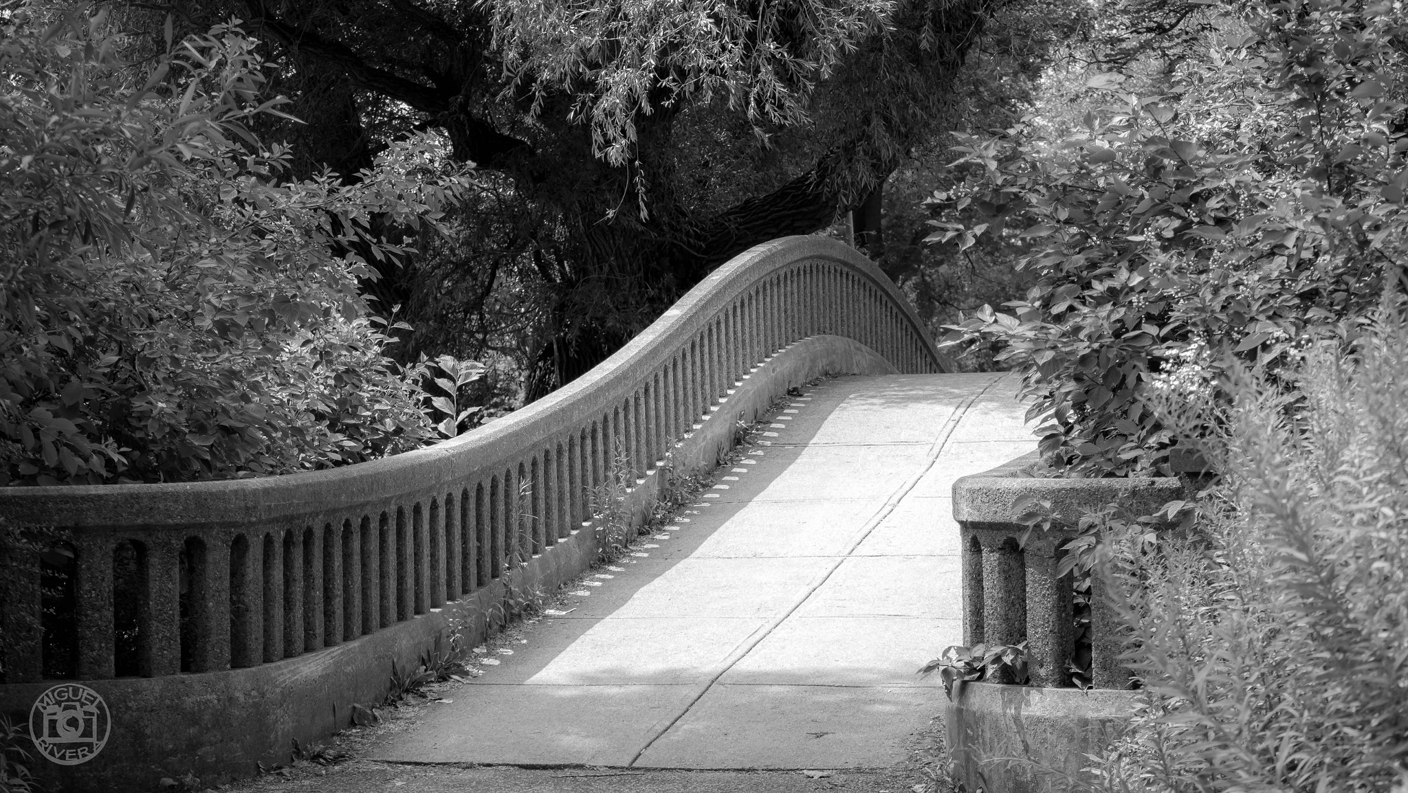 Canon EOS 100D (EOS Rebel SL1 / EOS Kiss X7) sample photo. Center island bridge photography