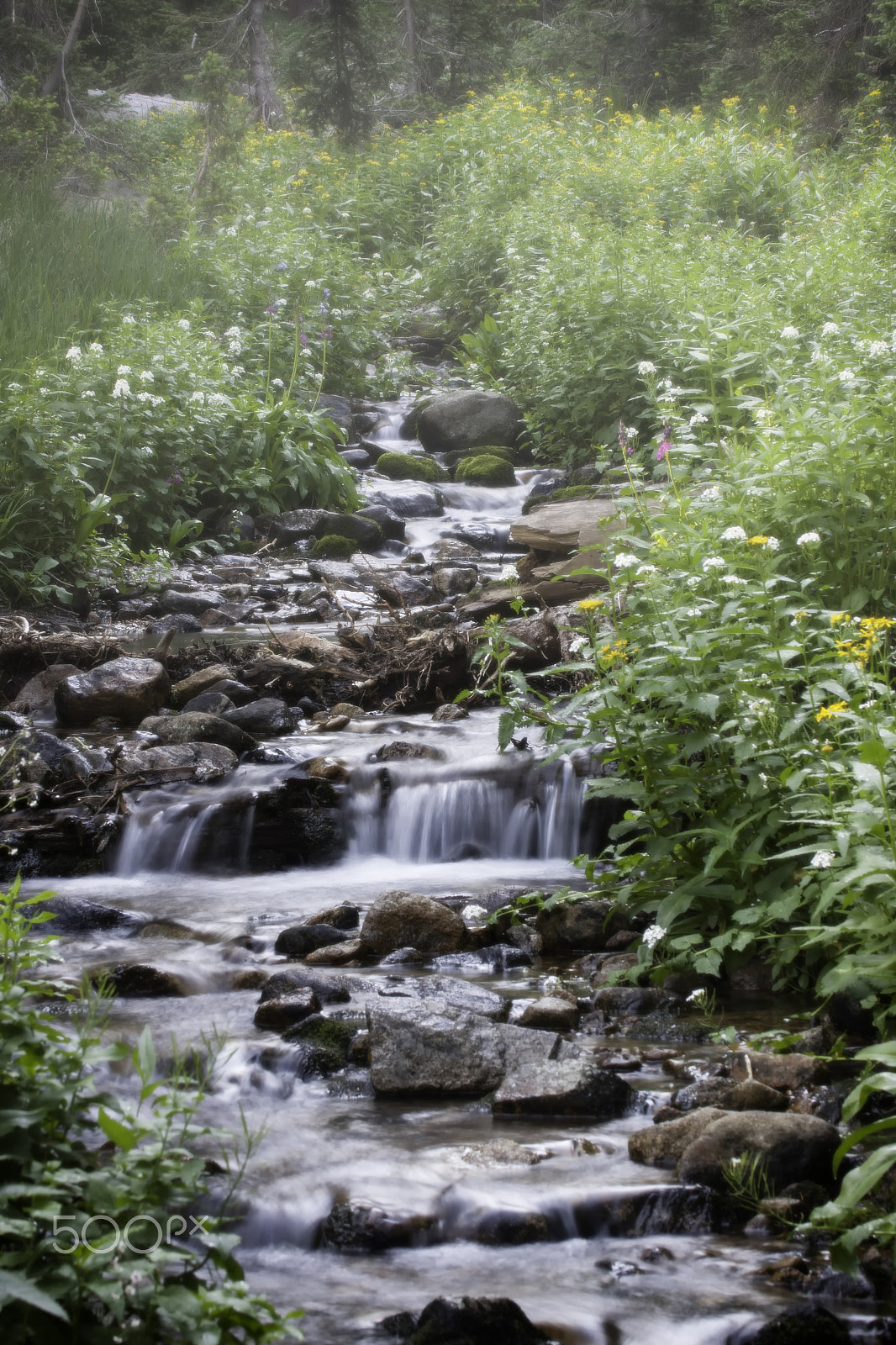 Canon EOS 40D sample photo. Mountain stream photography