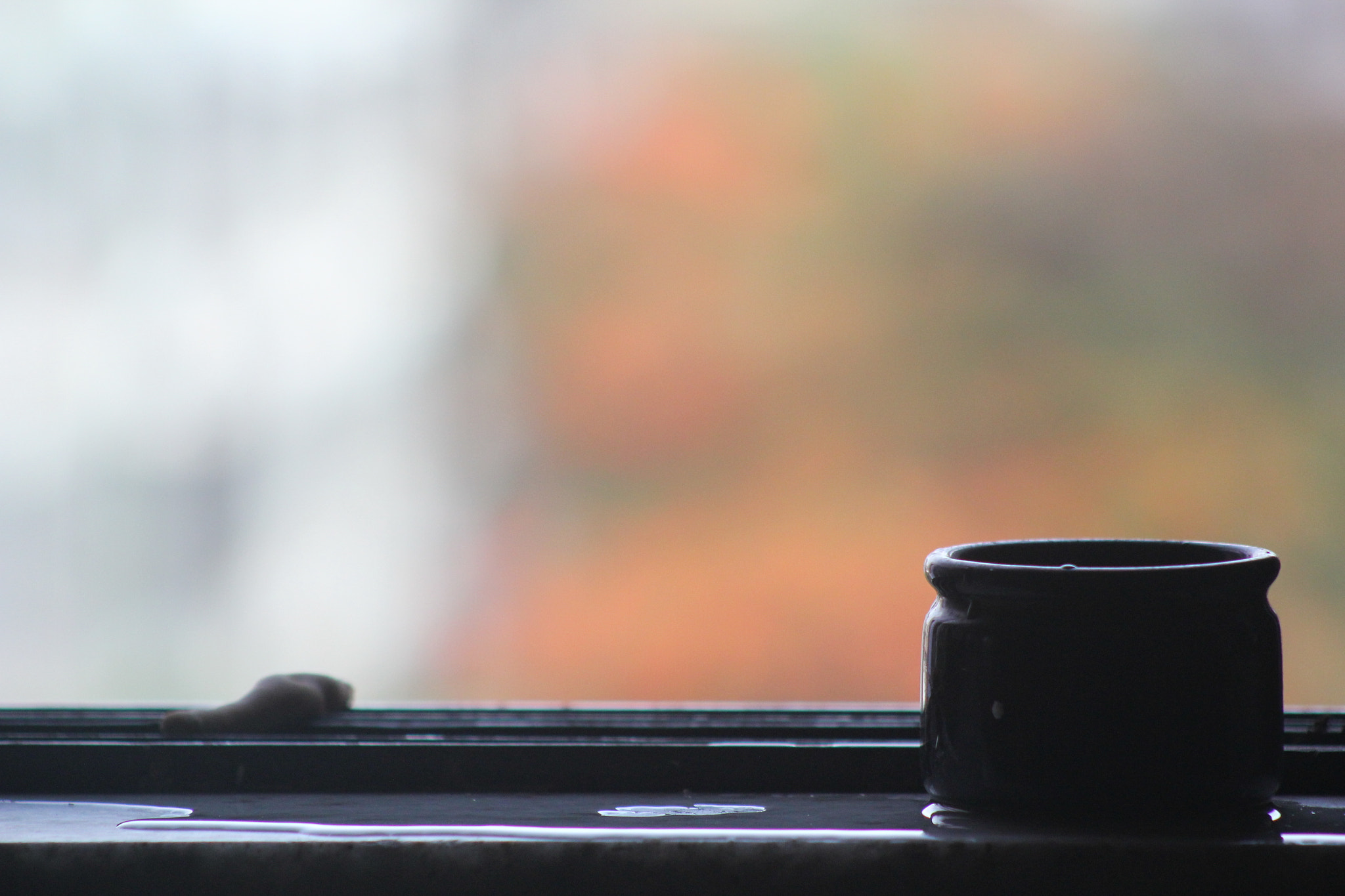 Canon EOS 550D (EOS Rebel T2i / EOS Kiss X4) + Canon EF 28mm F2.8 sample photo. A lonely pot on windowpane photography
