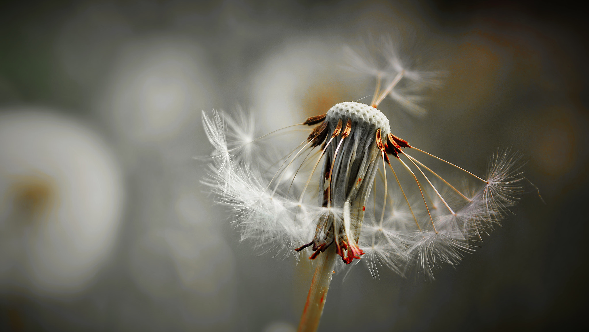 Sigma 17-70mm F2.8-4.5 DC Macro Asp. IF sample photo. () photography