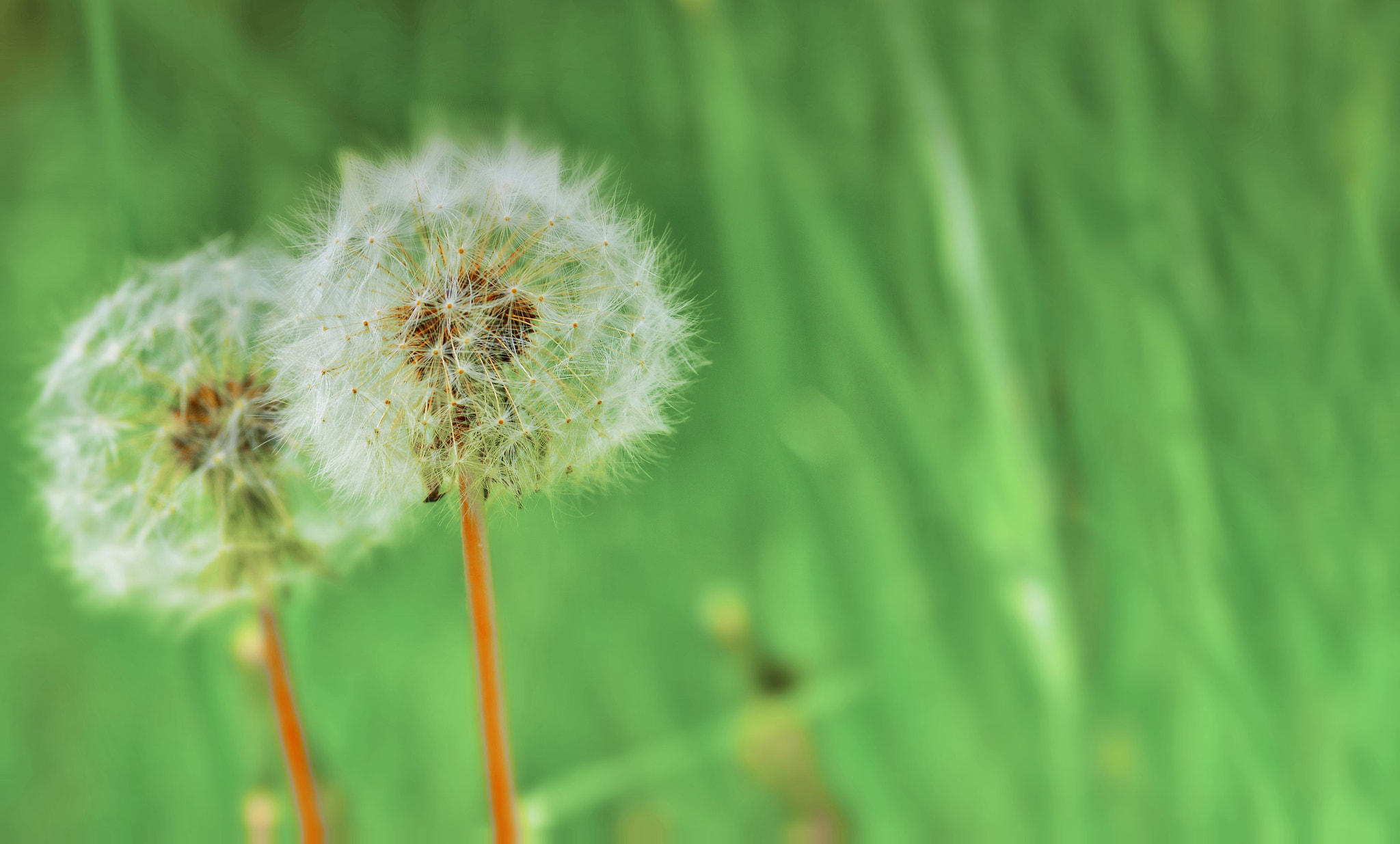 Sigma 17-70mm F2.8-4.5 DC Macro Asp. IF sample photo. () photography