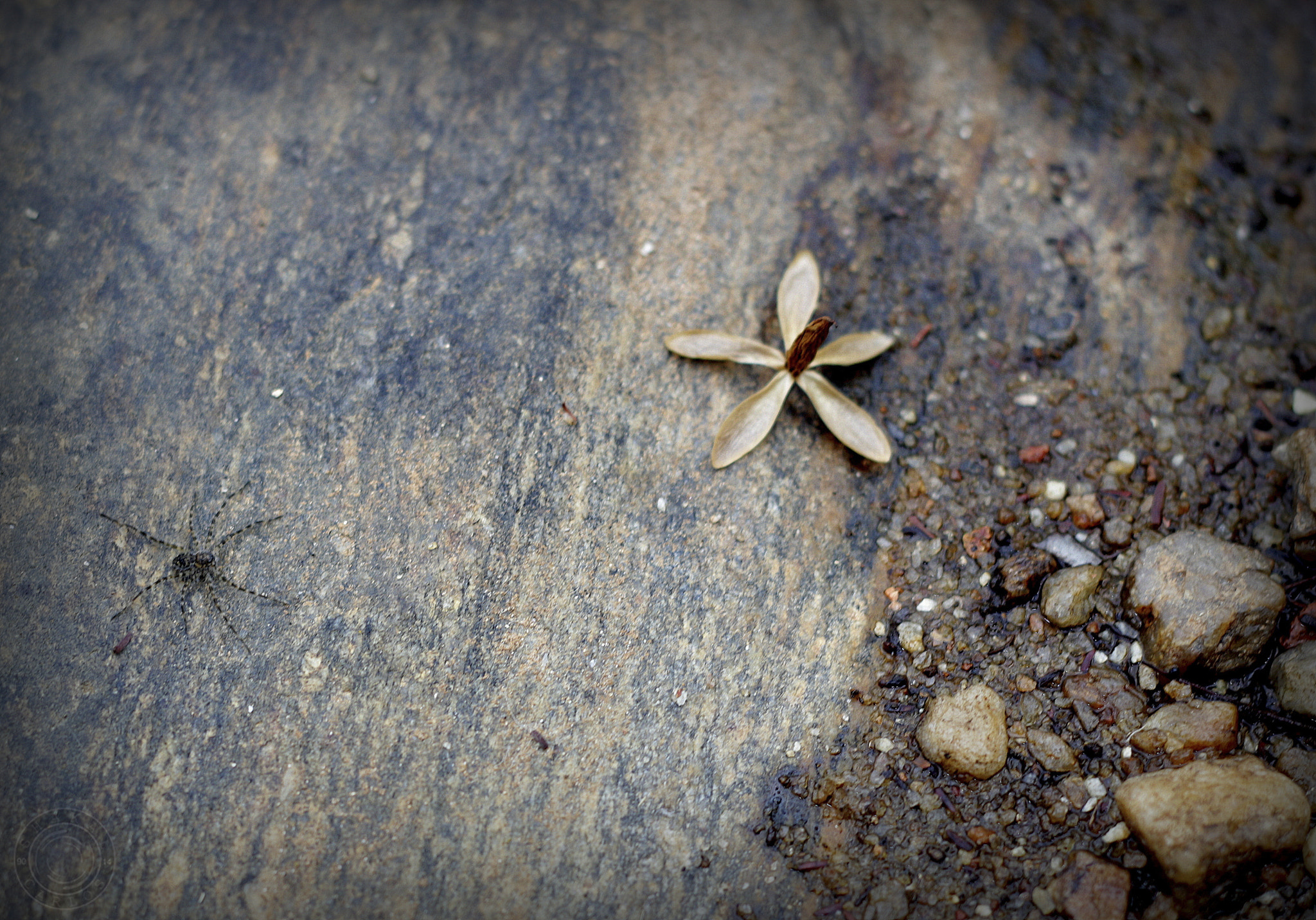 Canon EOS 700D (EOS Rebel T5i / EOS Kiss X7i) + Canon EF 50mm F1.8 II sample photo. Cachoeira pai inácio miradouro-mg photography