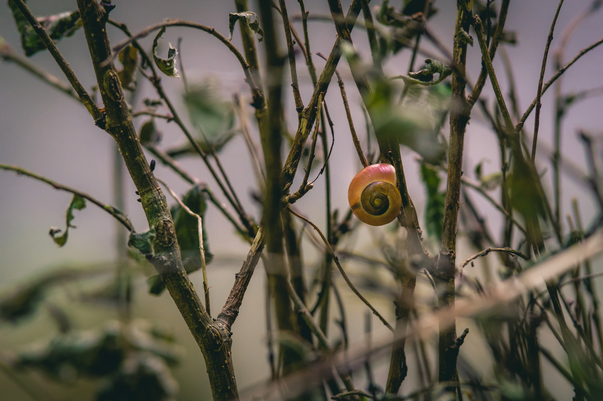 Pentax K-3 II sample photo. Travelling up photography