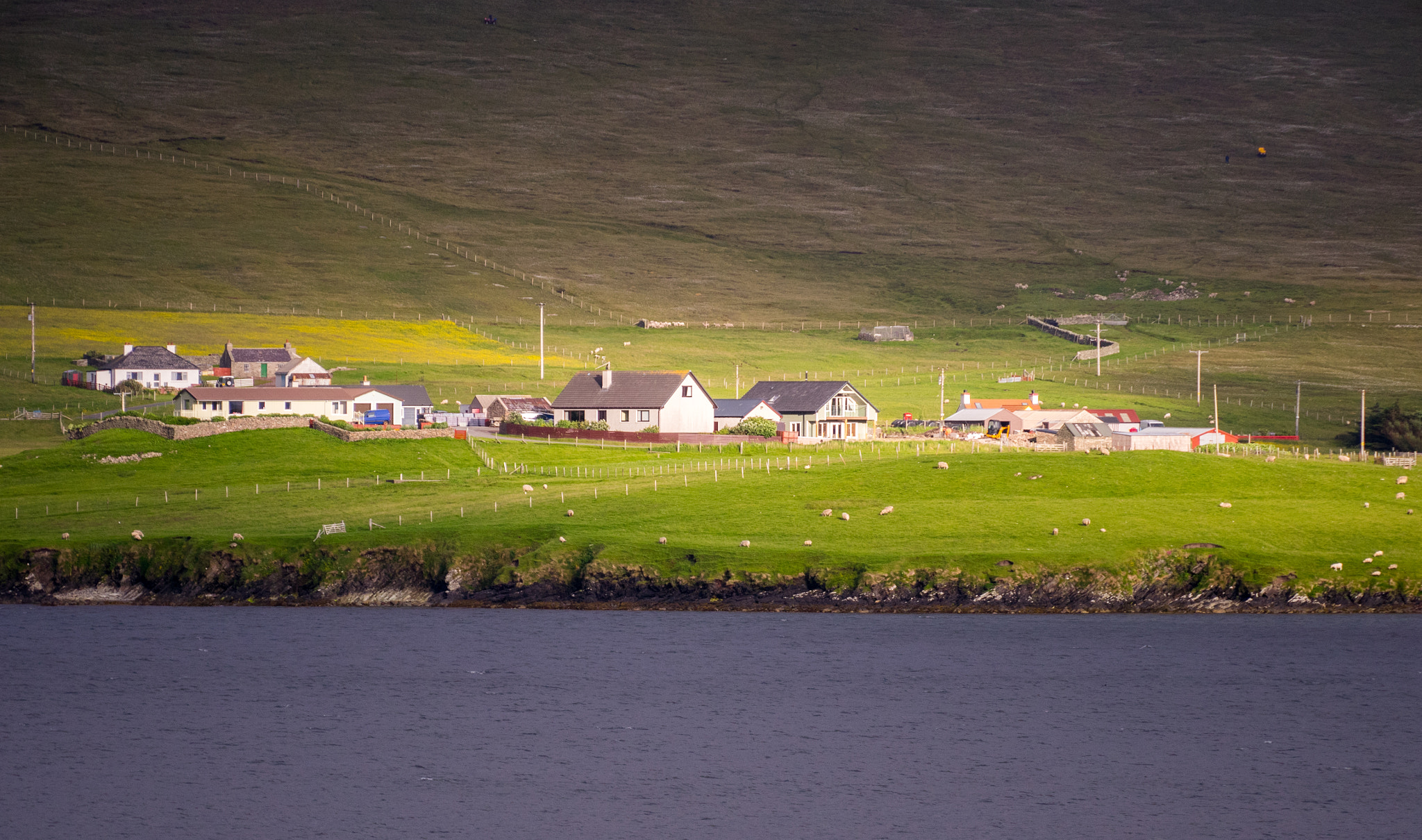 Panasonic Lumix DMC-GM1 sample photo. Sunspot on shetland isle photography