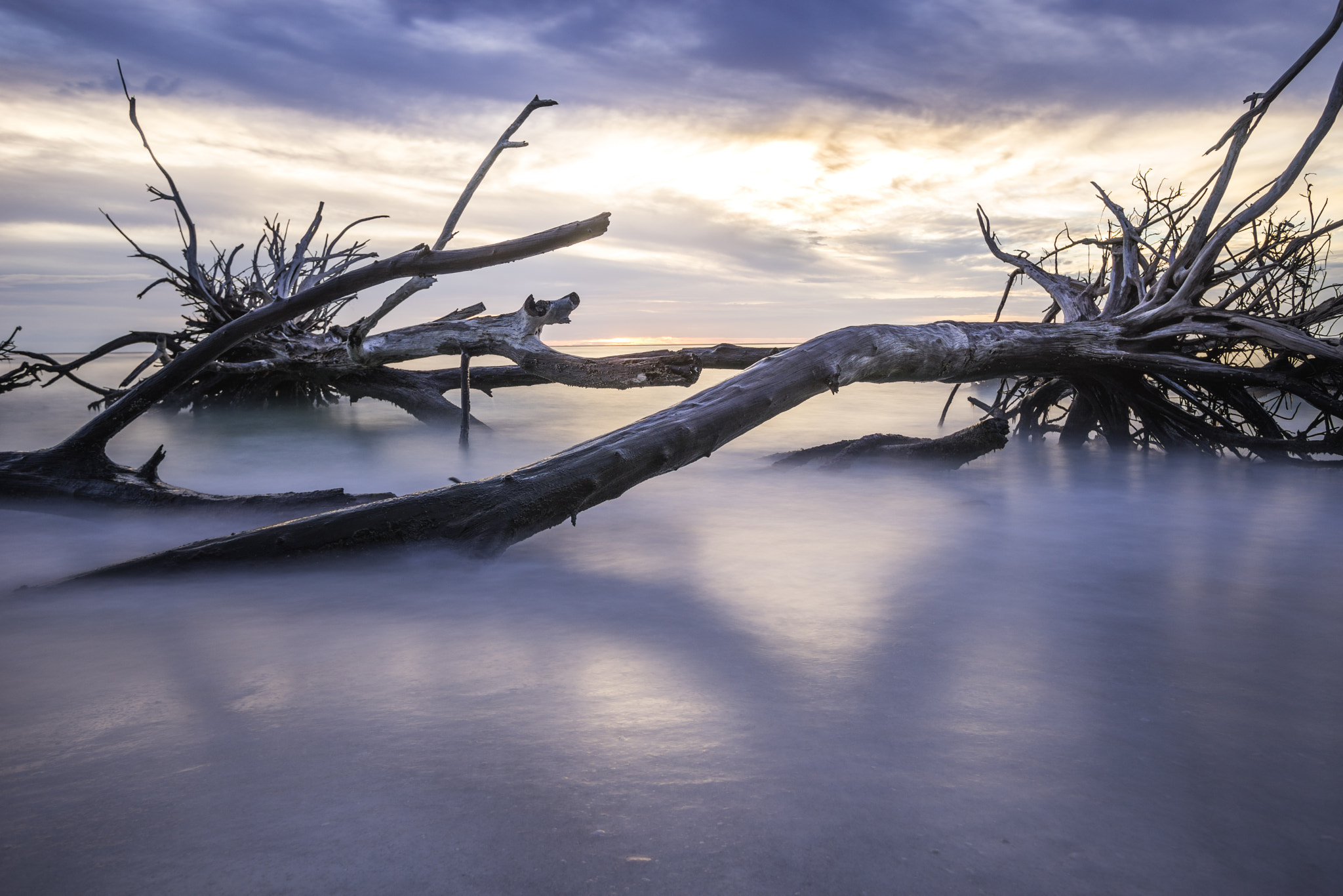 Sony a7 + Tamron SP 24-70mm F2.8 Di VC USD sample photo. Waterlogged photography