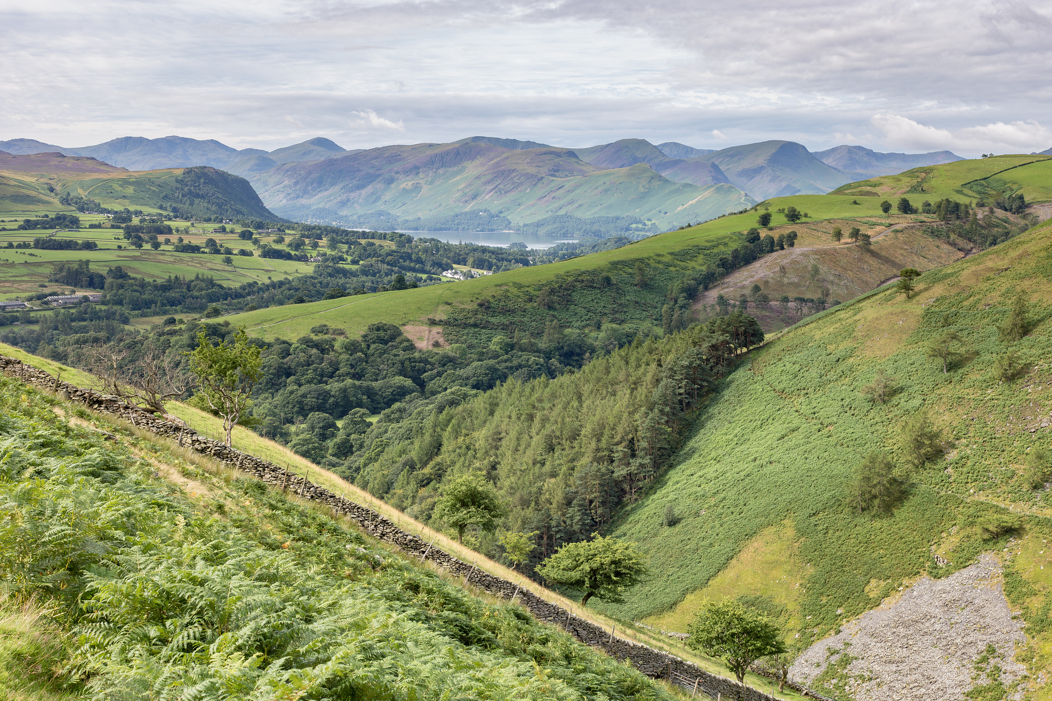 Canon EOS 6D + Canon EF 50mm F1.8 II sample photo. Lakeland beauty photography