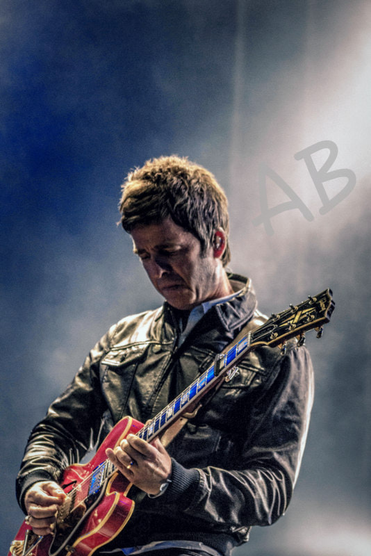Sigma 70-300mm F4-5.6 APO DG Macro sample photo. Noel gallagher photography