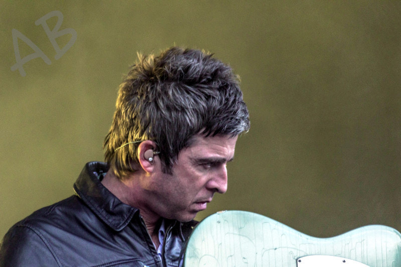 Sigma 70-300mm F4-5.6 APO DG Macro sample photo. Noel gallagher photography