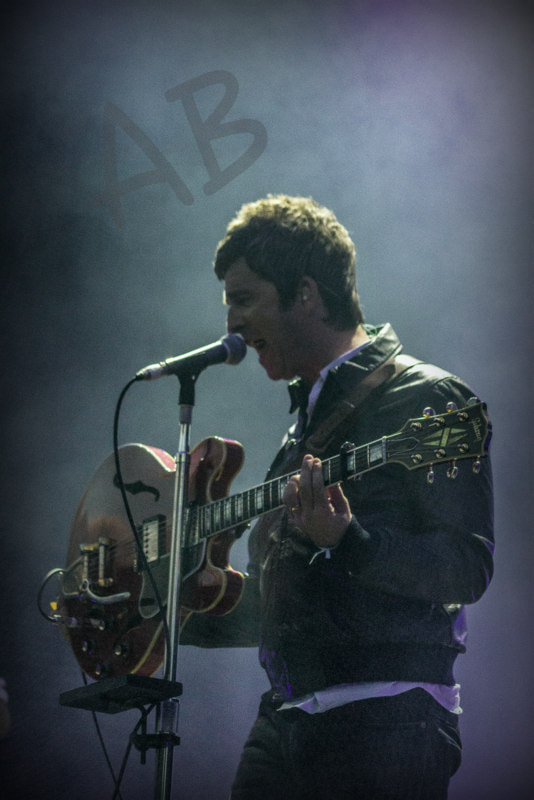 Sigma 70-300mm F4-5.6 APO DG Macro sample photo. Noel gallagher photography