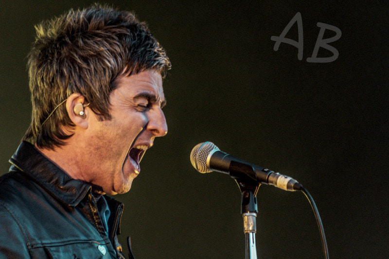 Sigma 70-300mm F4-5.6 APO DG Macro sample photo. Noel gallagher photography