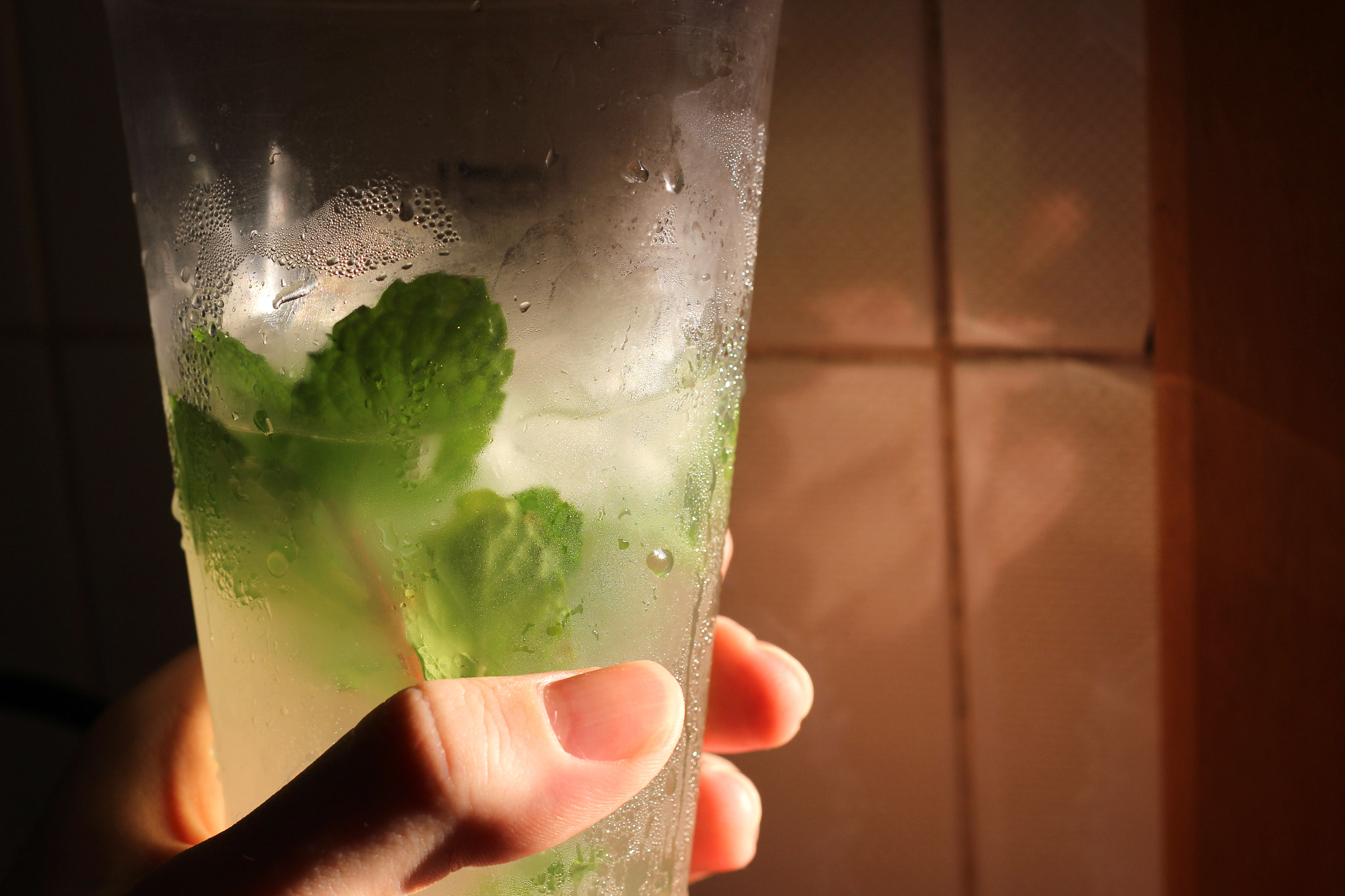 Canon EF 50mm F1.8 II sample photo. Mojito photography
