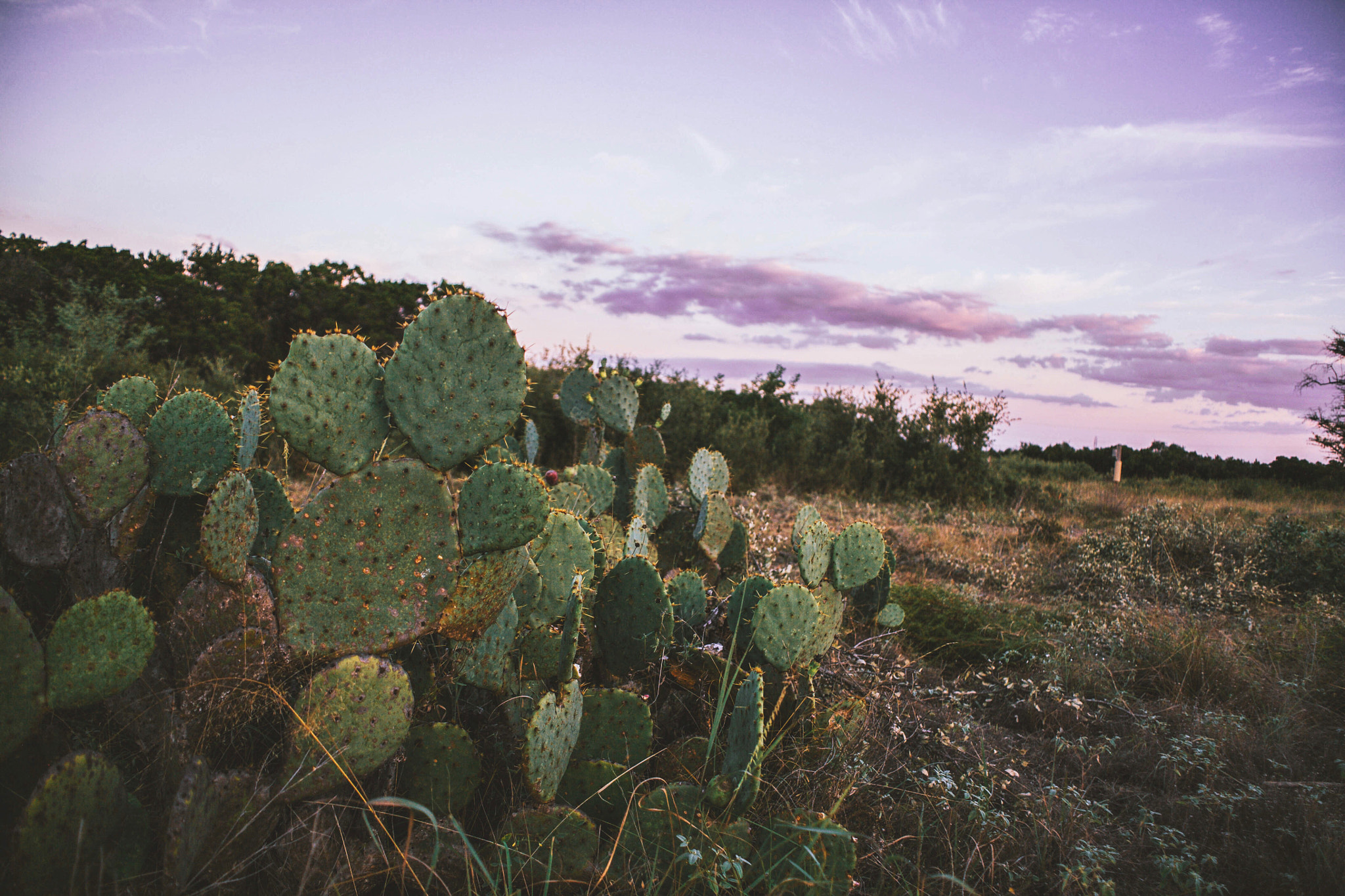 Canon EF 28-80mm f/3.5-5.6 USM IV sample photo. Texas sunsets photography