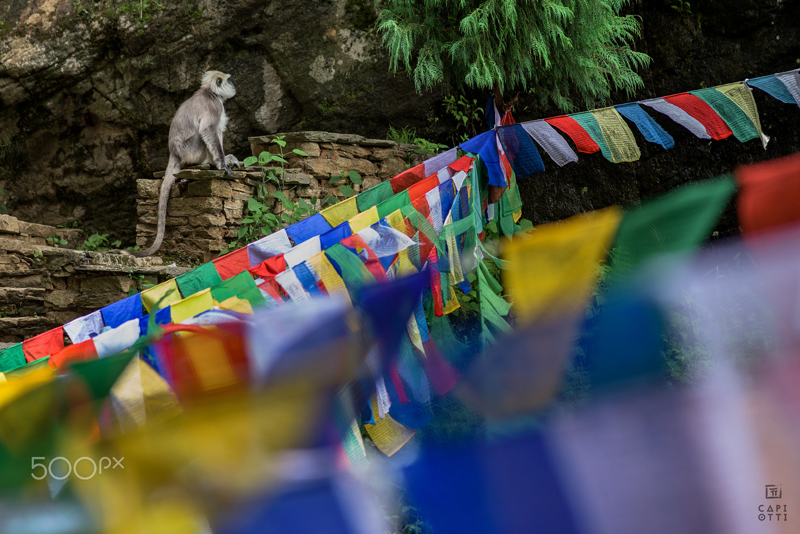 Nikon D810 + AF Nikkor 180mm f/2.8 IF-ED sample photo. Tiger's nest photography