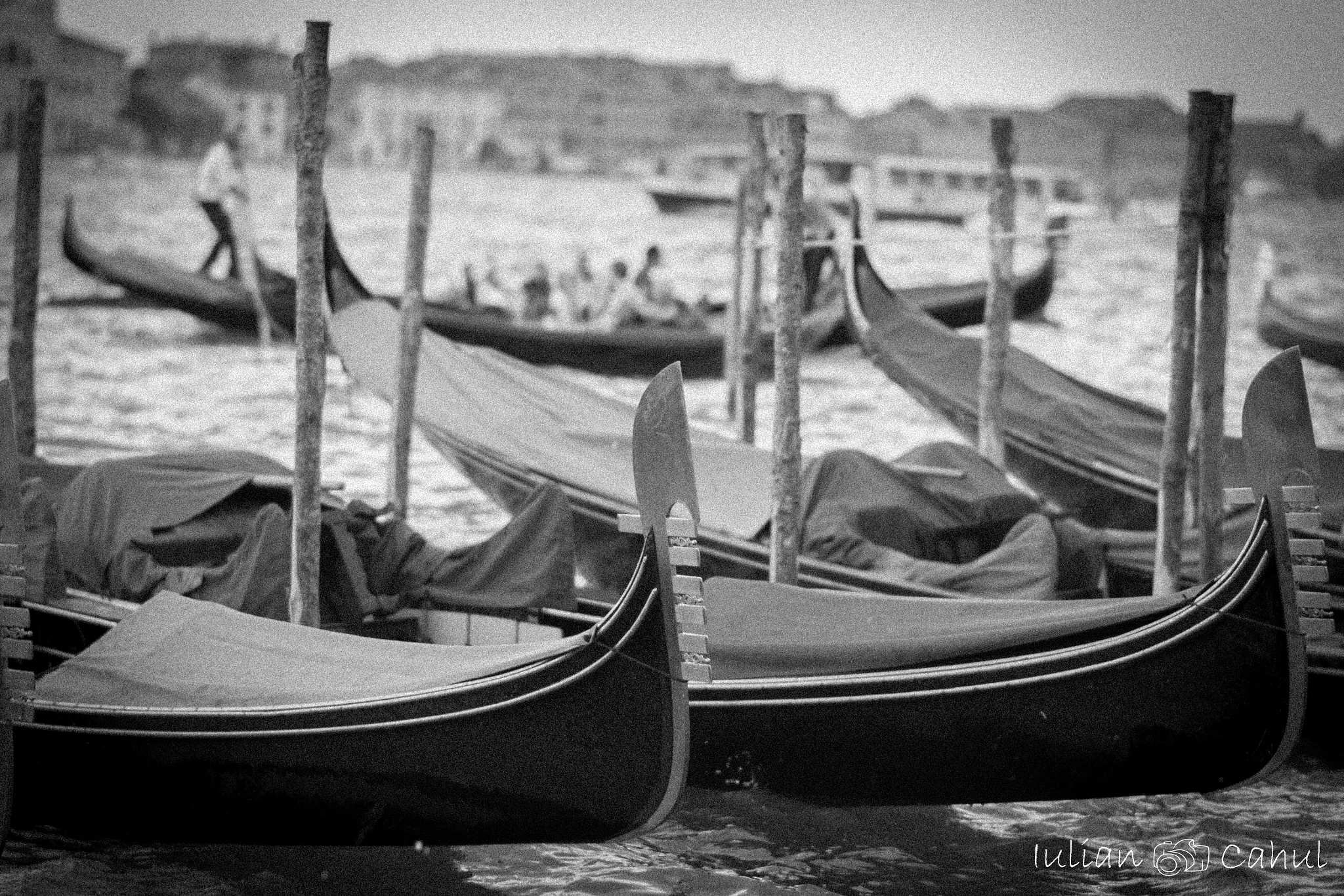 Nikon D3100 + Nikon AF-S Nikkor 85mm F1.8G sample photo. Venice photography
