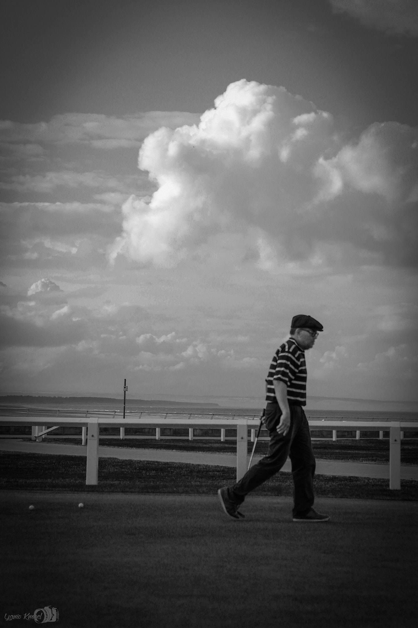 Canon EOS 550D (EOS Rebel T2i / EOS Kiss X4) sample photo. Gold routine photography