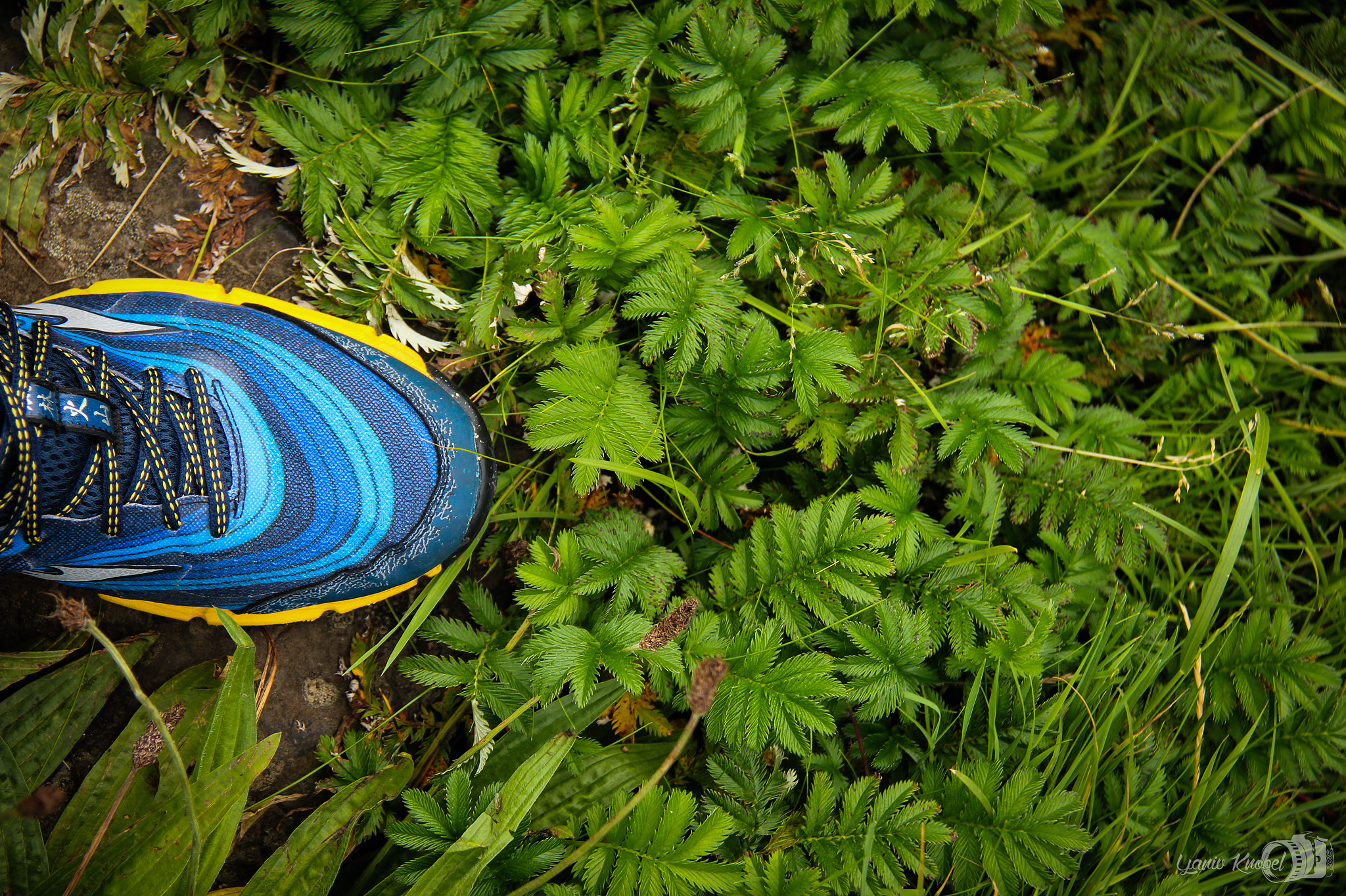 Canon EOS 550D (EOS Rebel T2i / EOS Kiss X4) sample photo. It's just my shoe and me photography