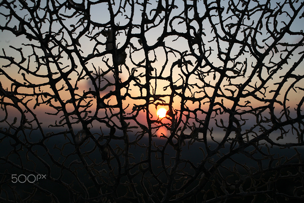 Canon EOS 5D + Canon EF 40mm F2.8 STM sample photo. Sunset one photography